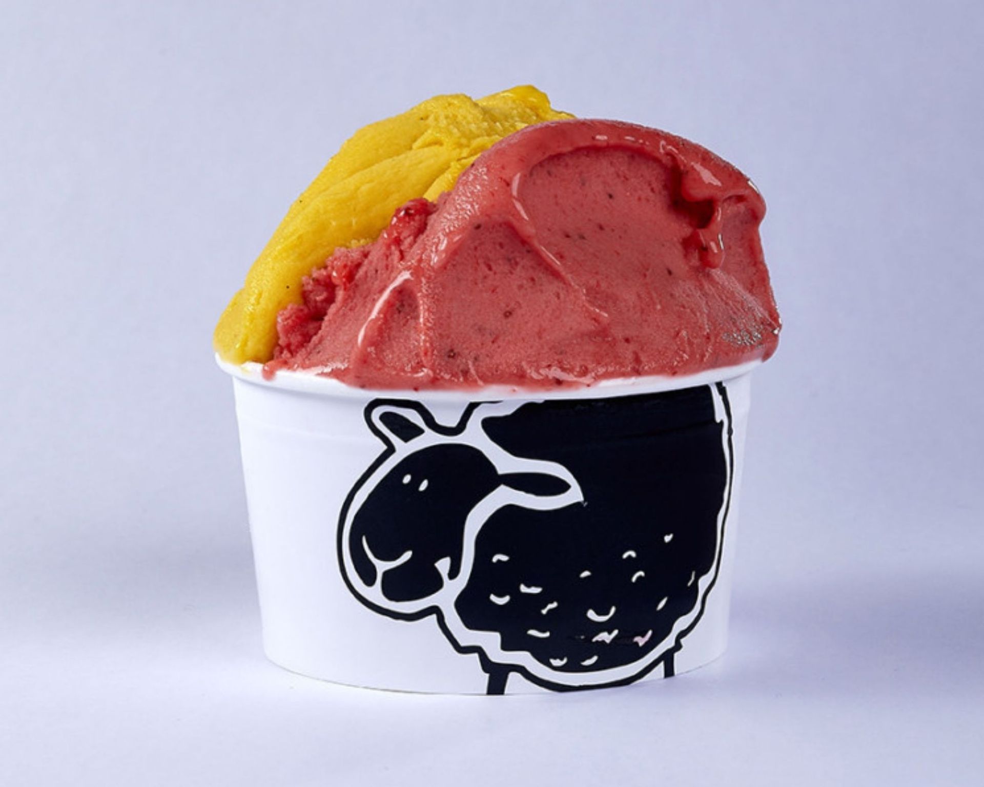 Lapecoraneraimmagineprincipale