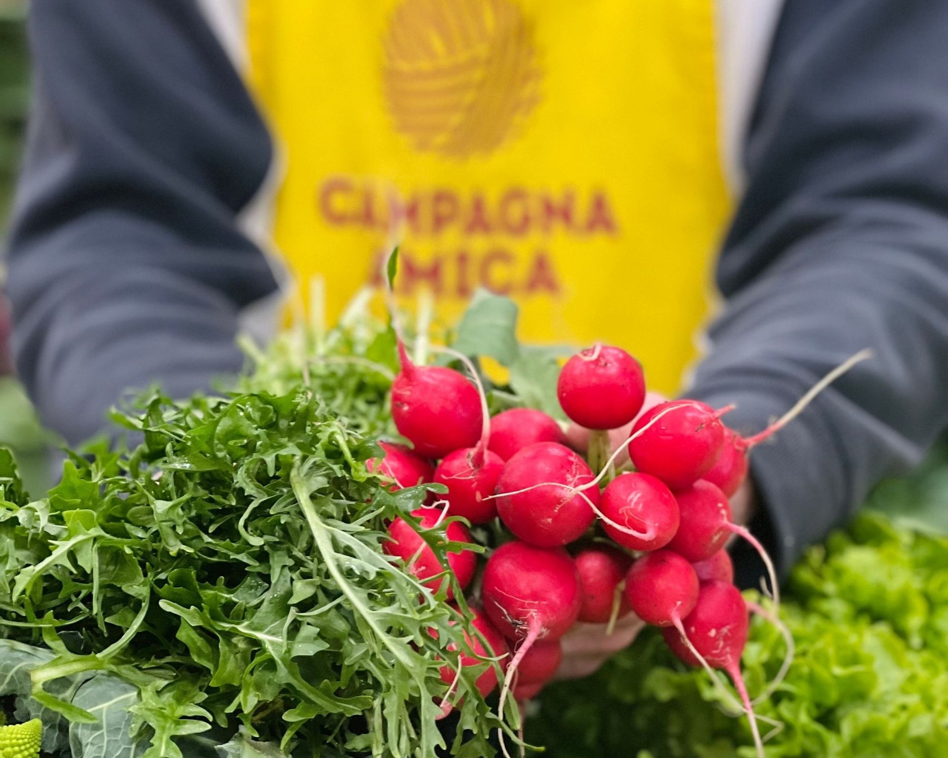 MercatoalcopertodiCampagnaAmica