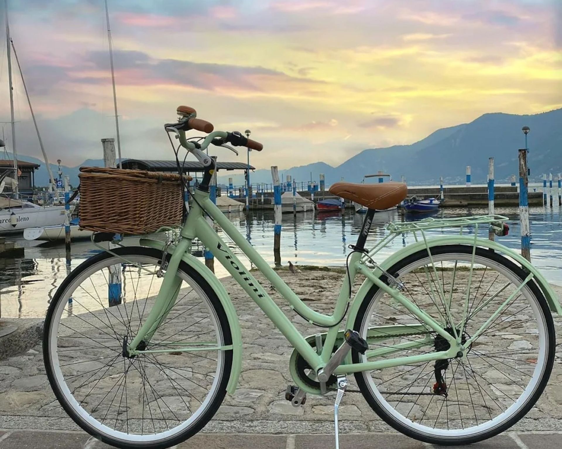 biciclette-e-scooters-violini
