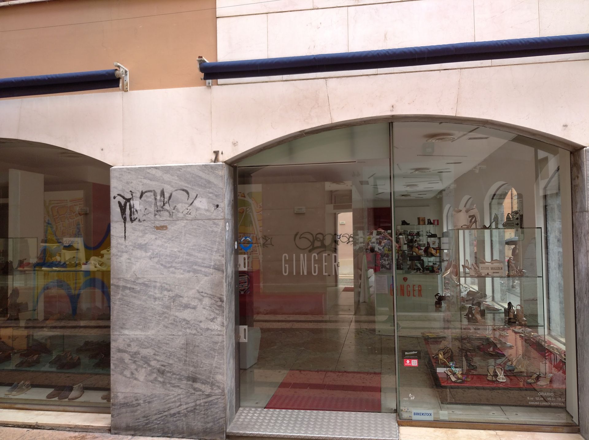 Ginger - © Photo by Nicola Morandi