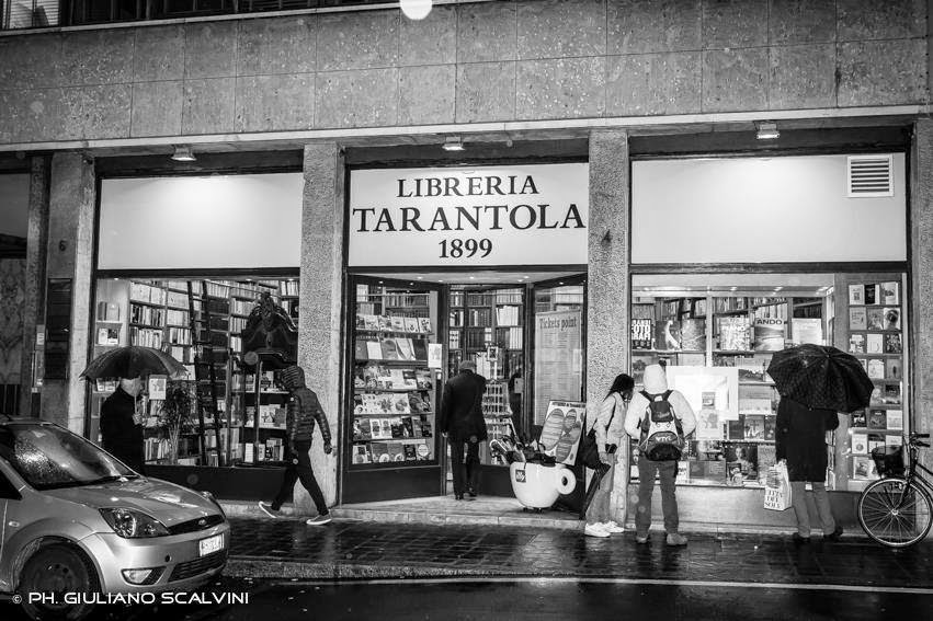 Libreria Tarantola - © Photo by roberta s.t