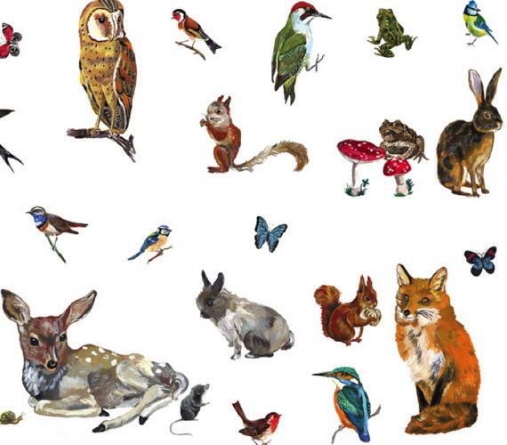 Lollipop - © Photo by Lollipop