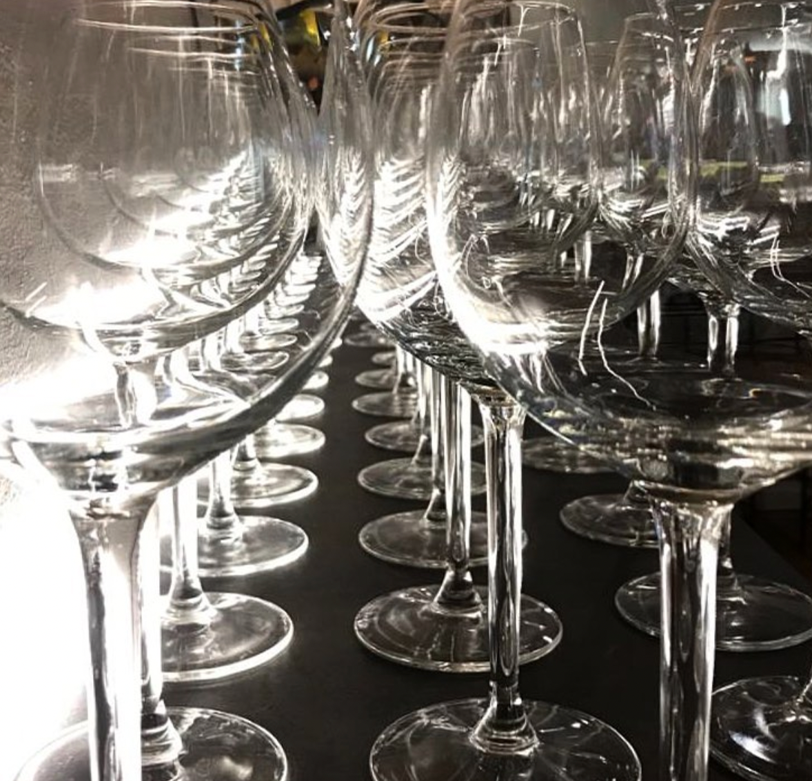 Loro... - © Photo by Bar Loro...