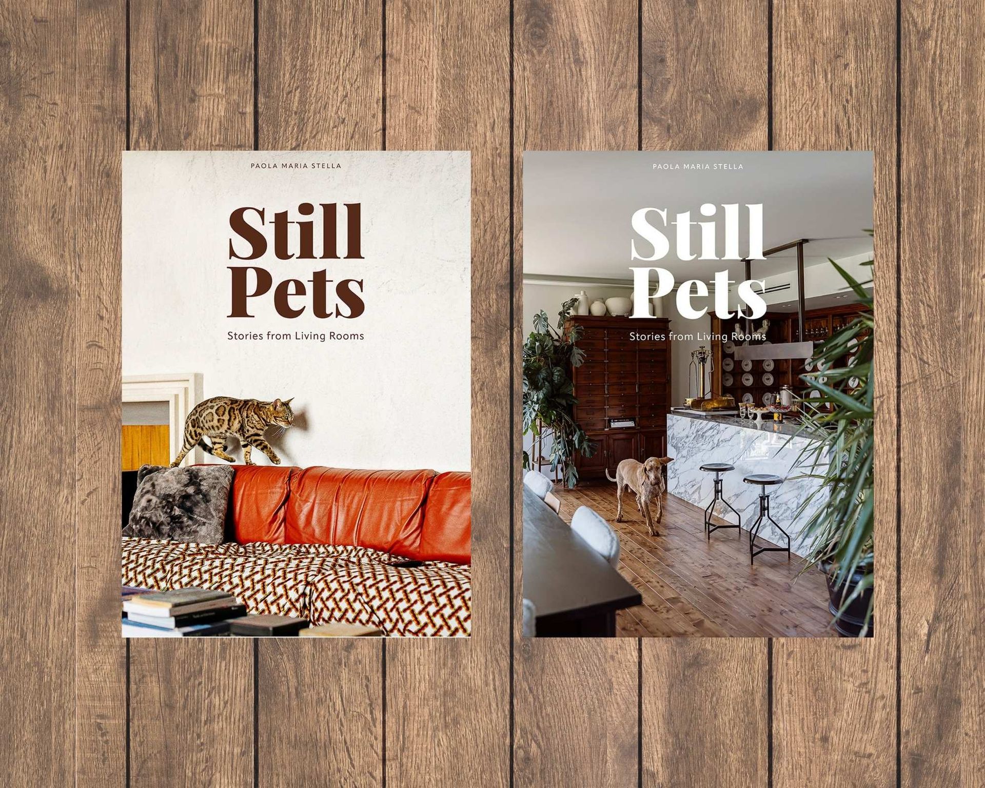  Paola Maria Stella con Still Pets Libreria Ferrata