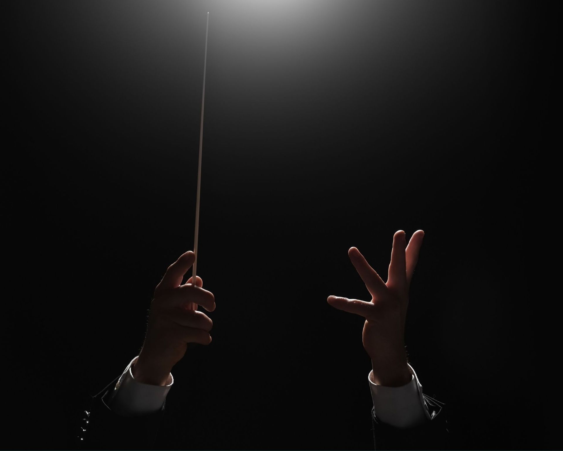 Direttore d'orchestra