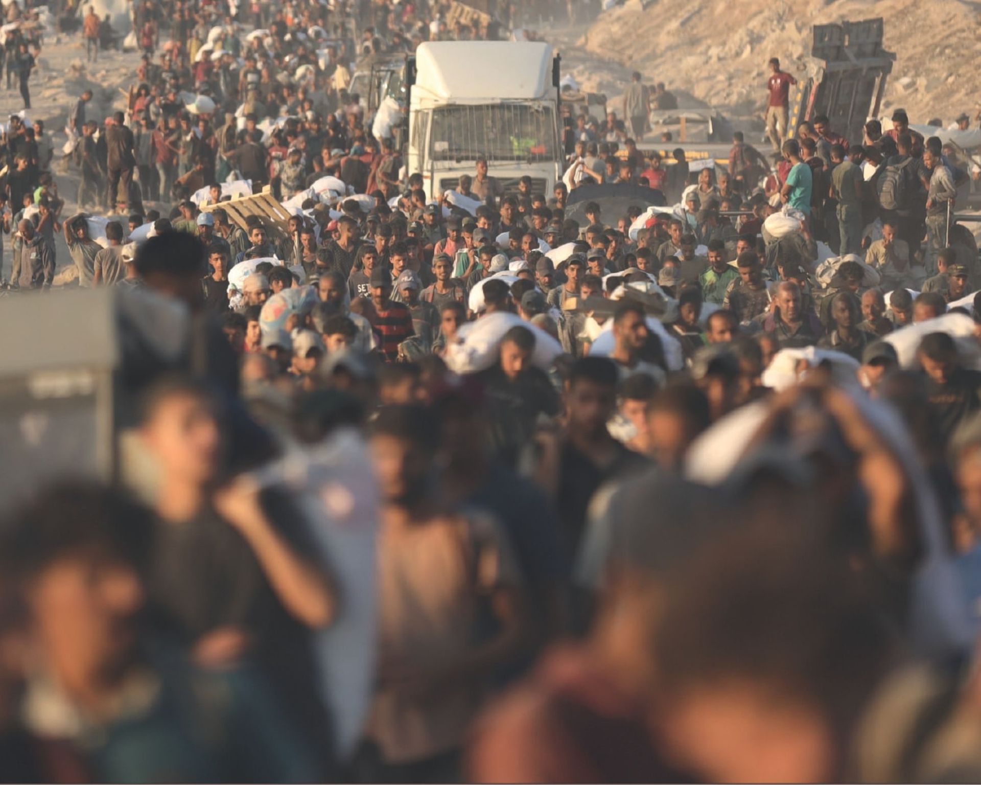 Mostra DOVE NON SIAMO