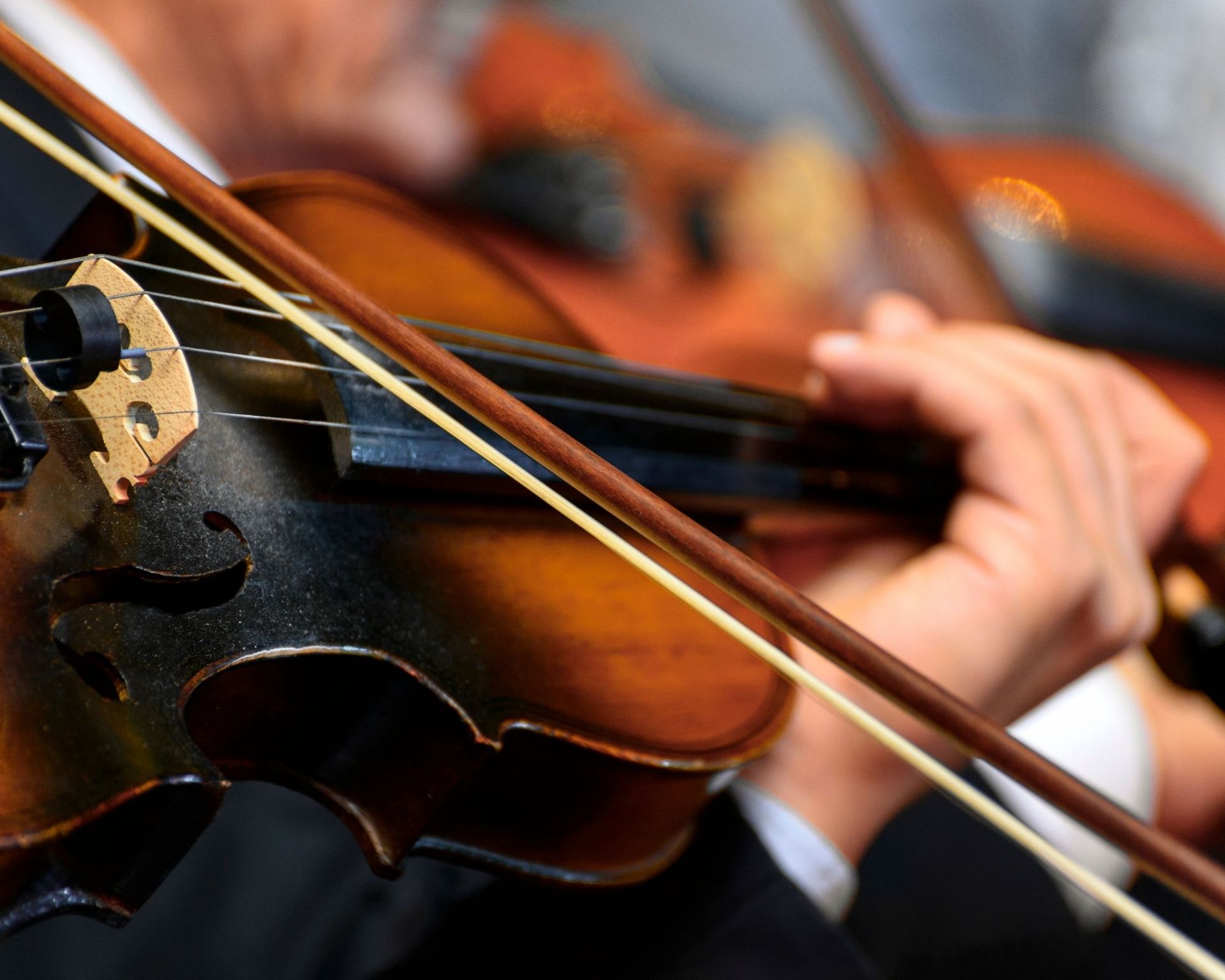 violino