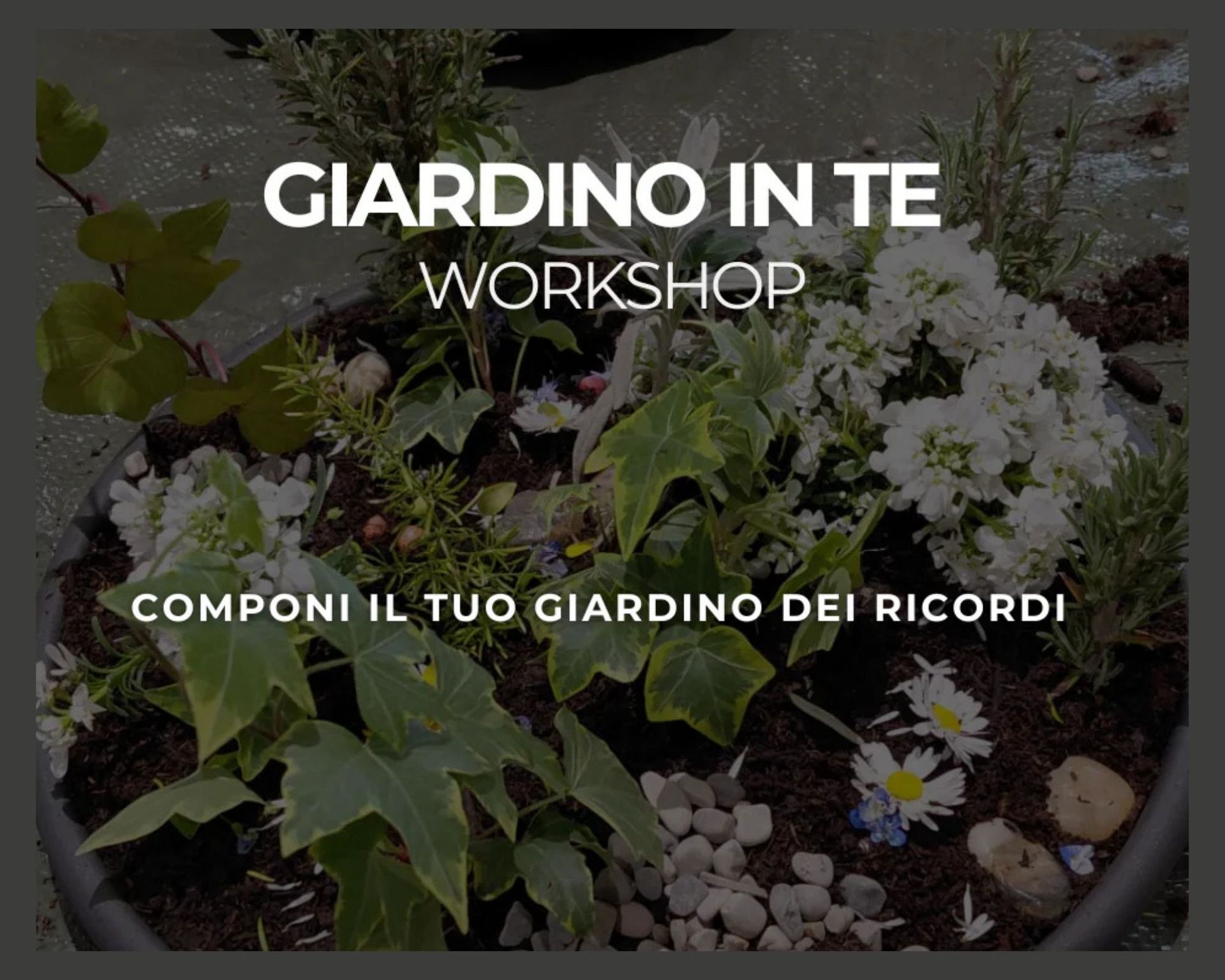 Giardinointe