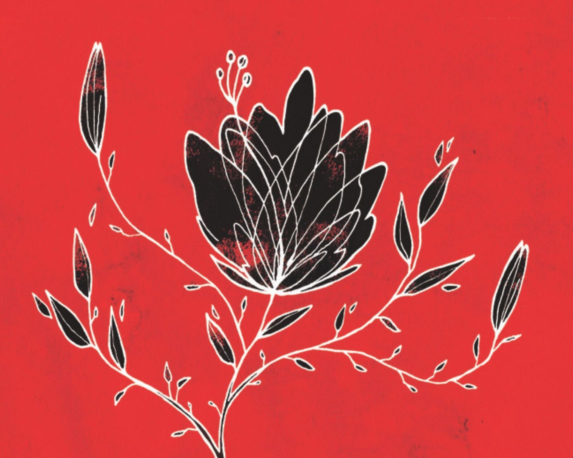 Il canto di Penelope Evento Inverno al Gallo