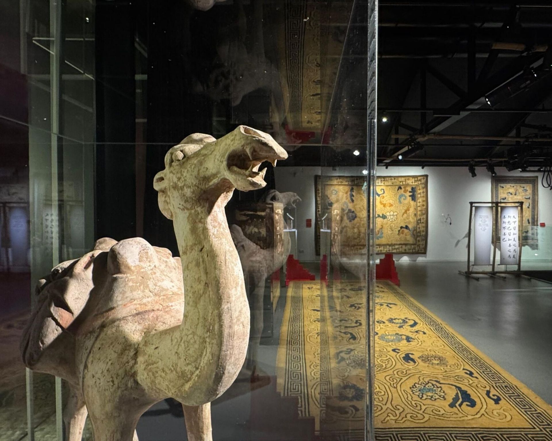 Le trame del dragone 