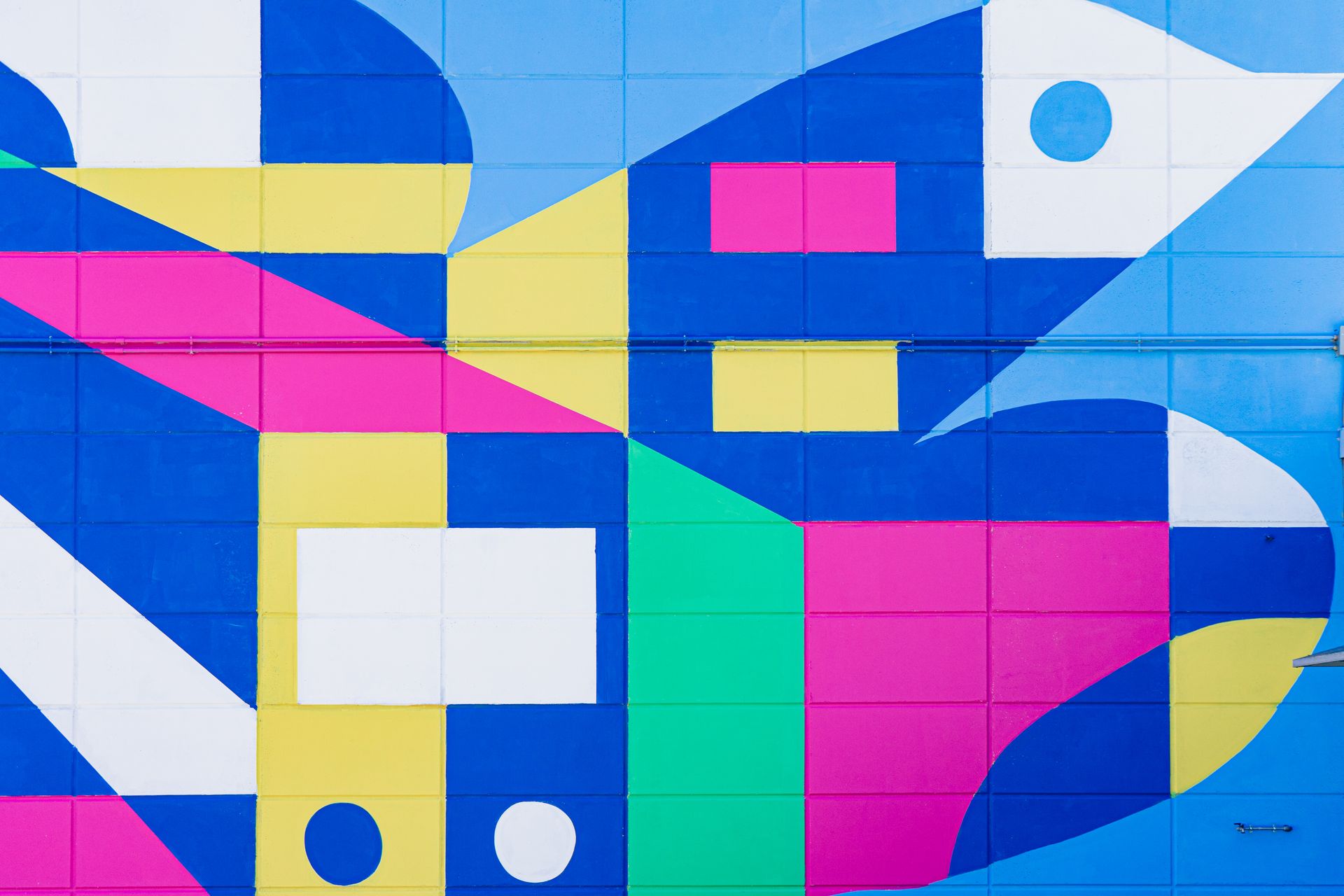 Murales colorato raffigurante uccello