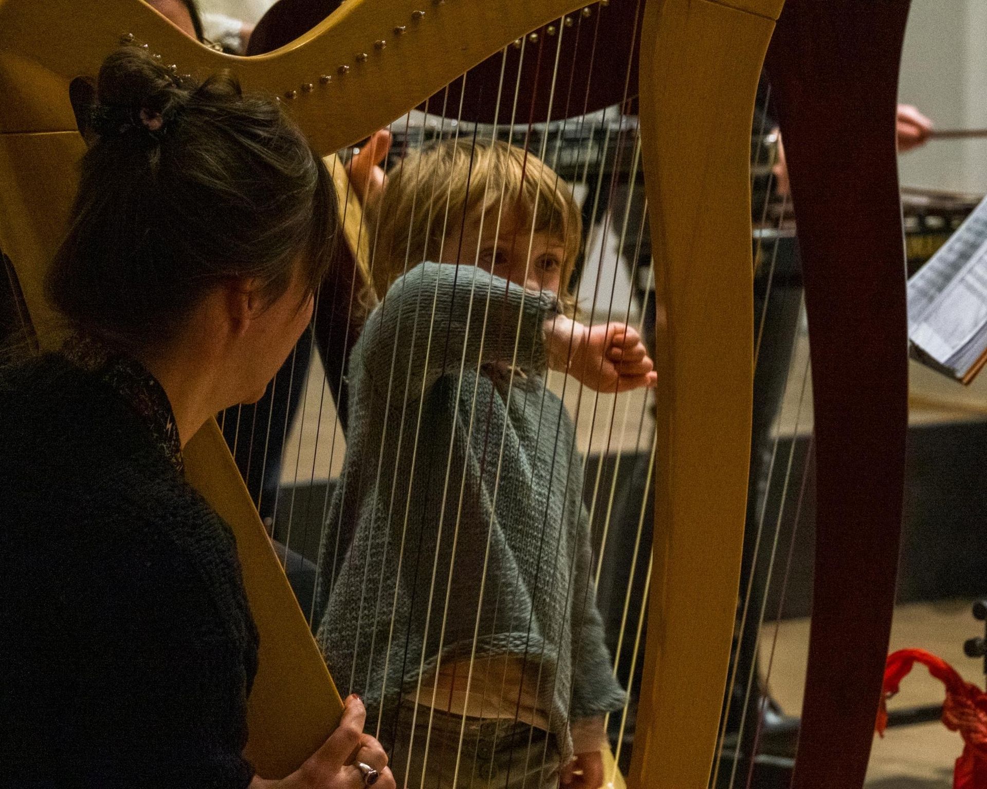 Orchestra Euphonia APS Sei l'Orchestra BAO sound experience