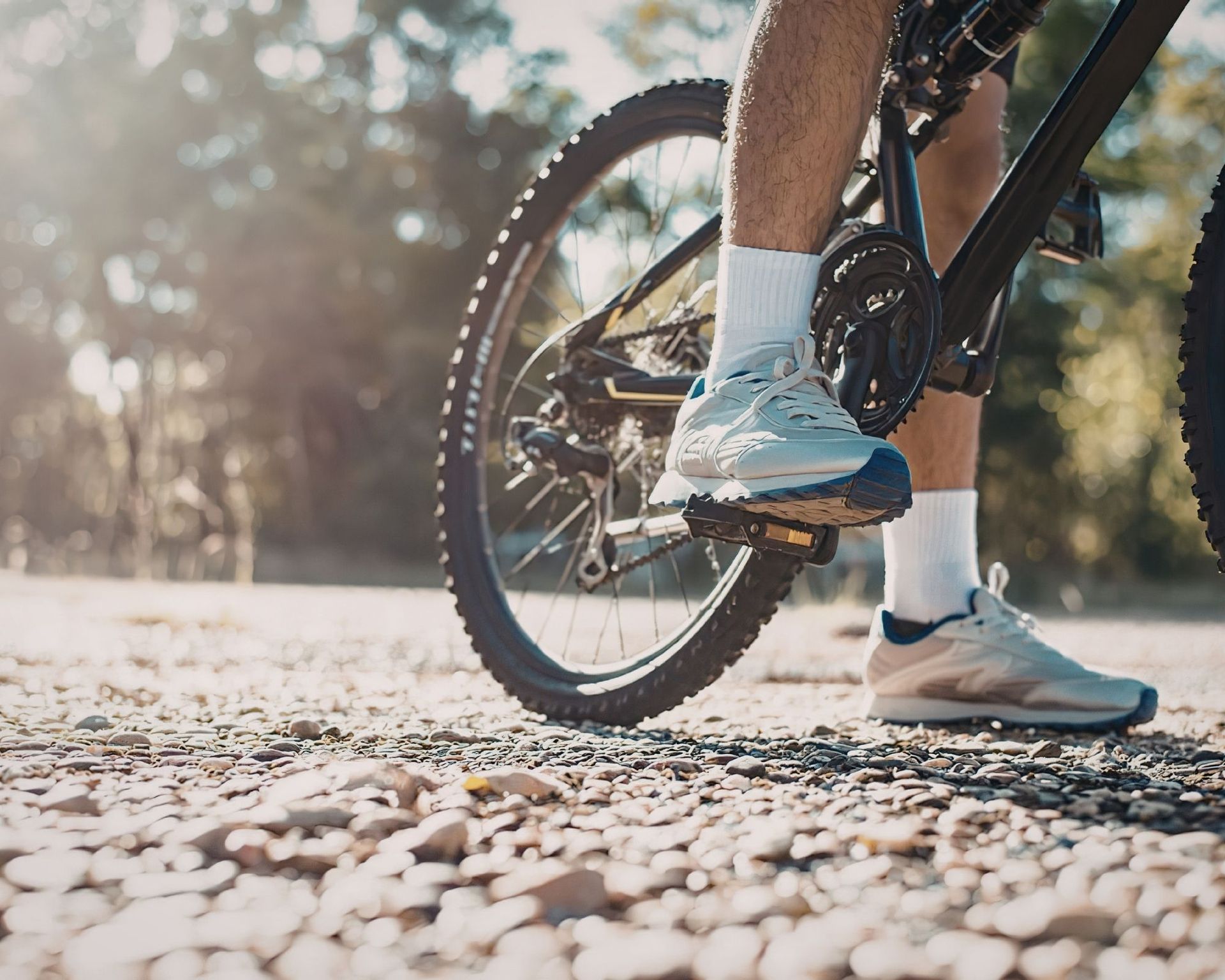 bici