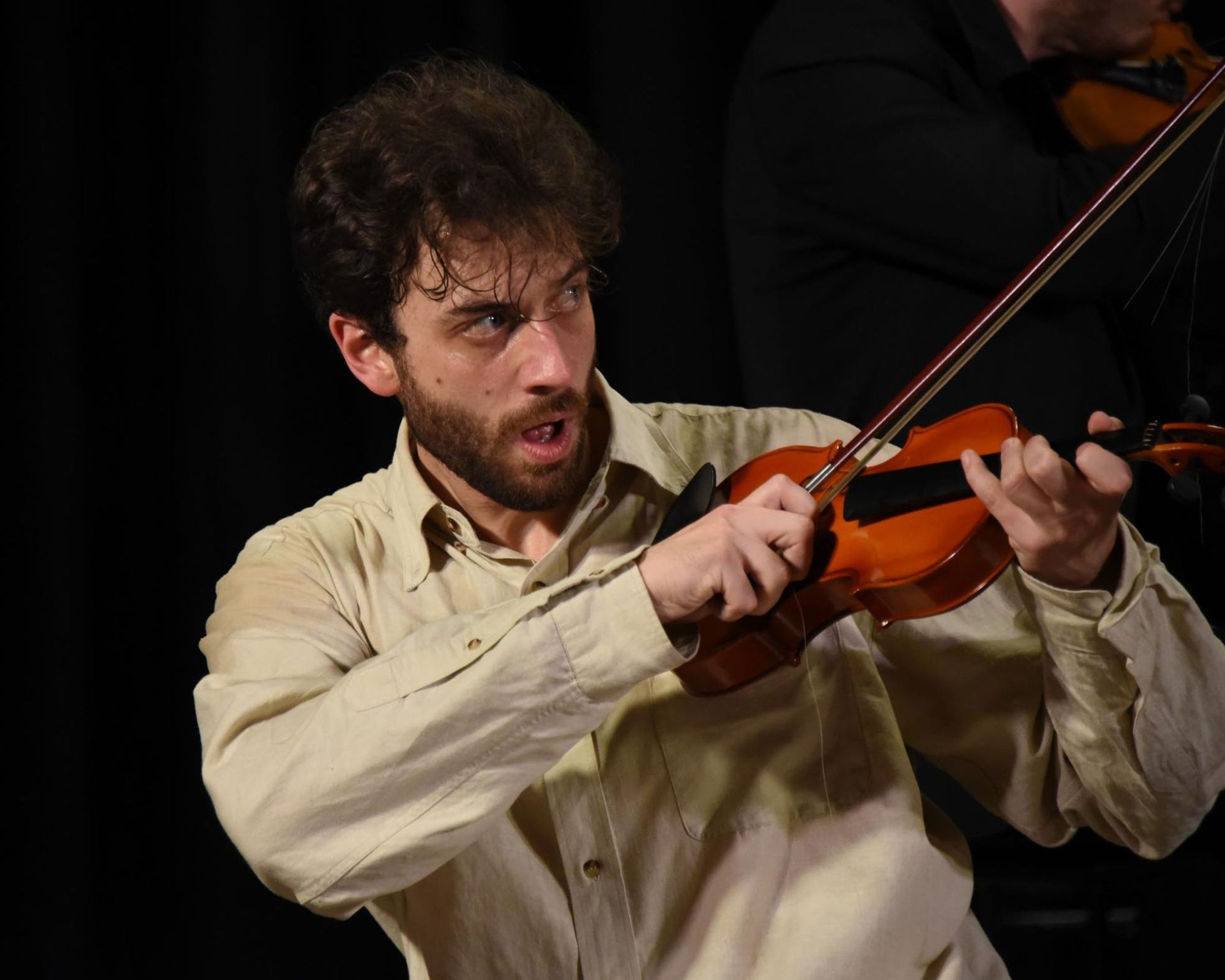 Violinista