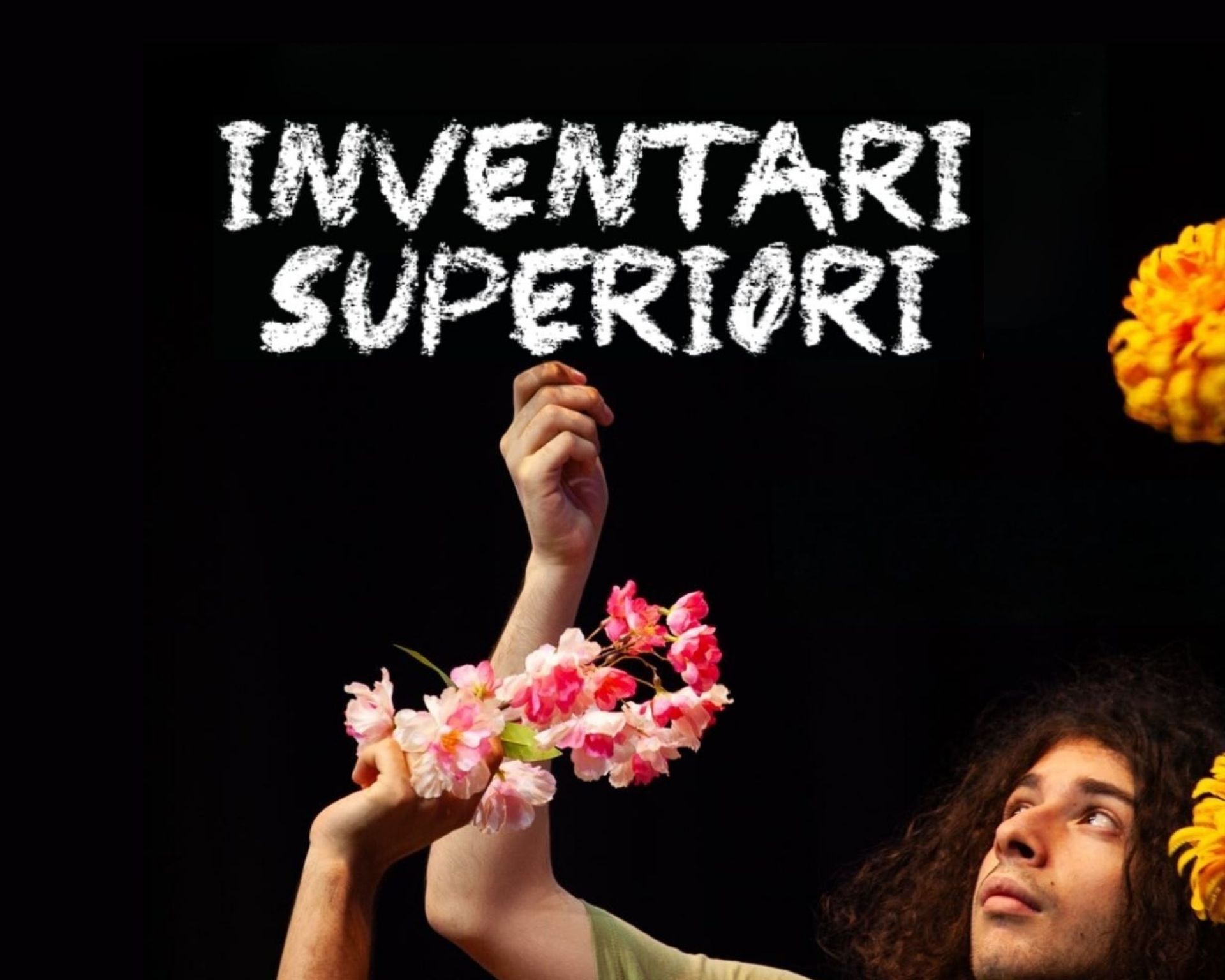 inventari superiori 2026