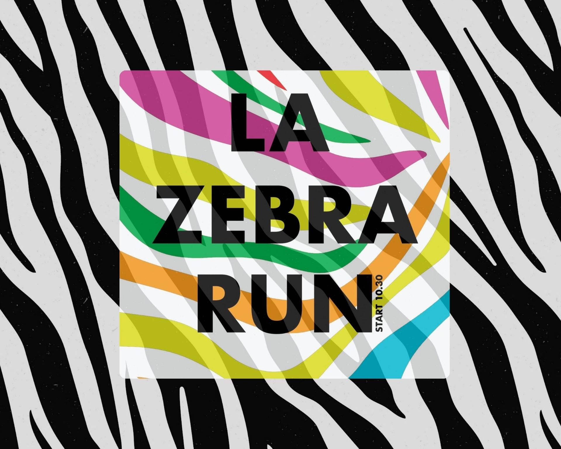 la-zebra-run