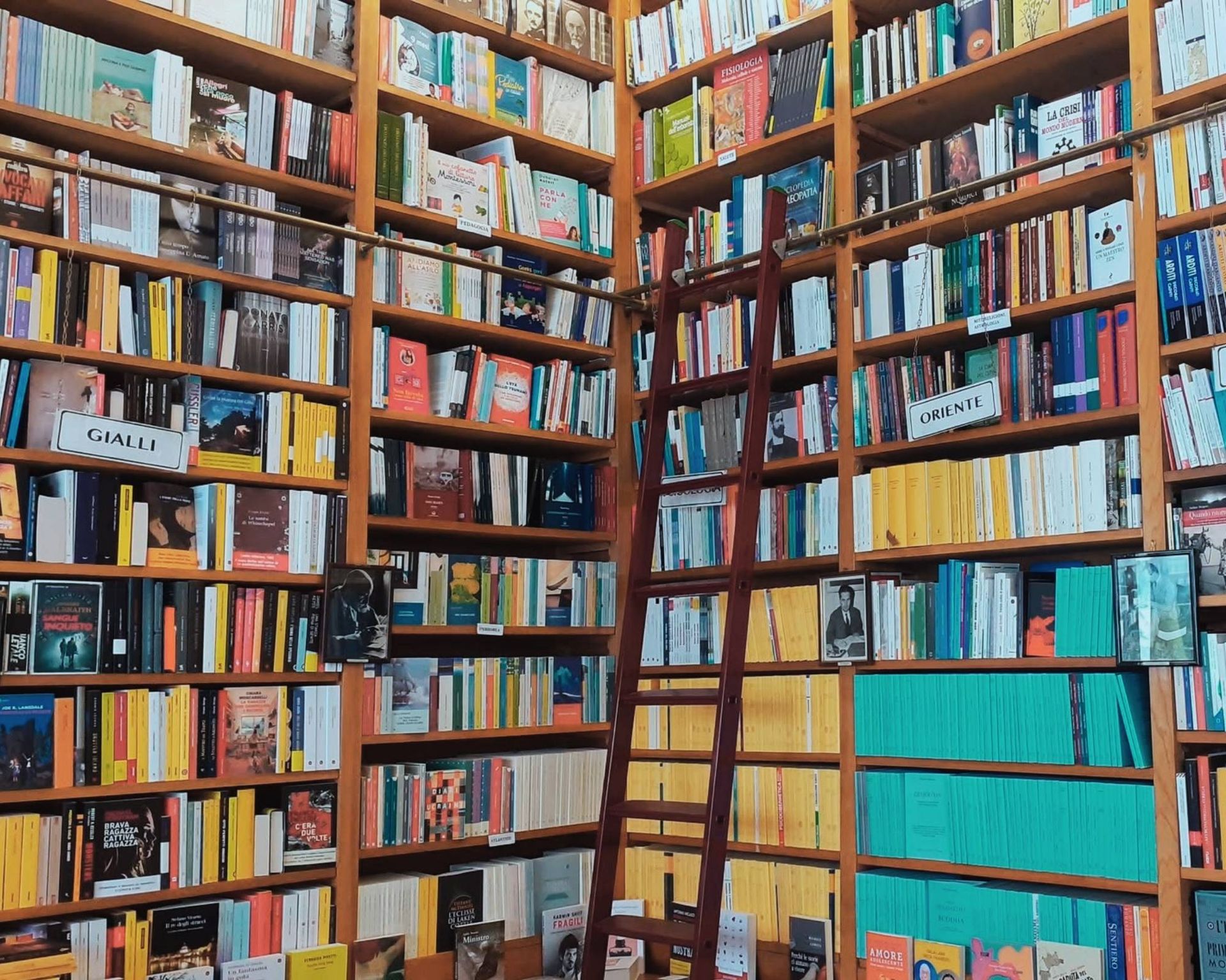 Libreria-tarantola-1889