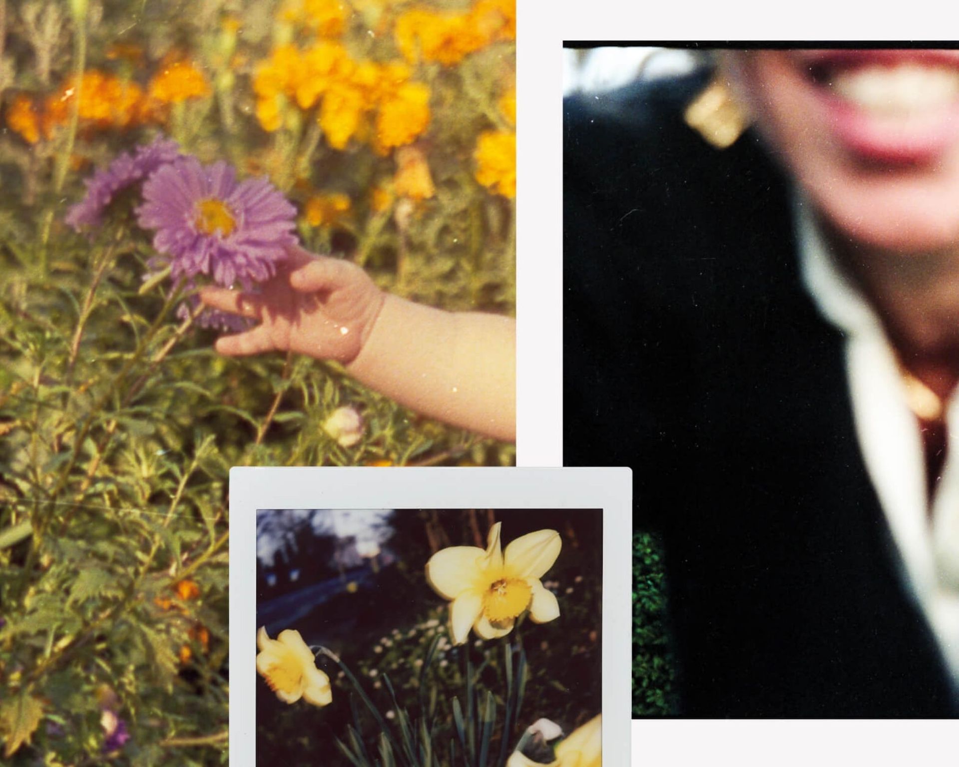 mostra unlike flowers mutty gallery
