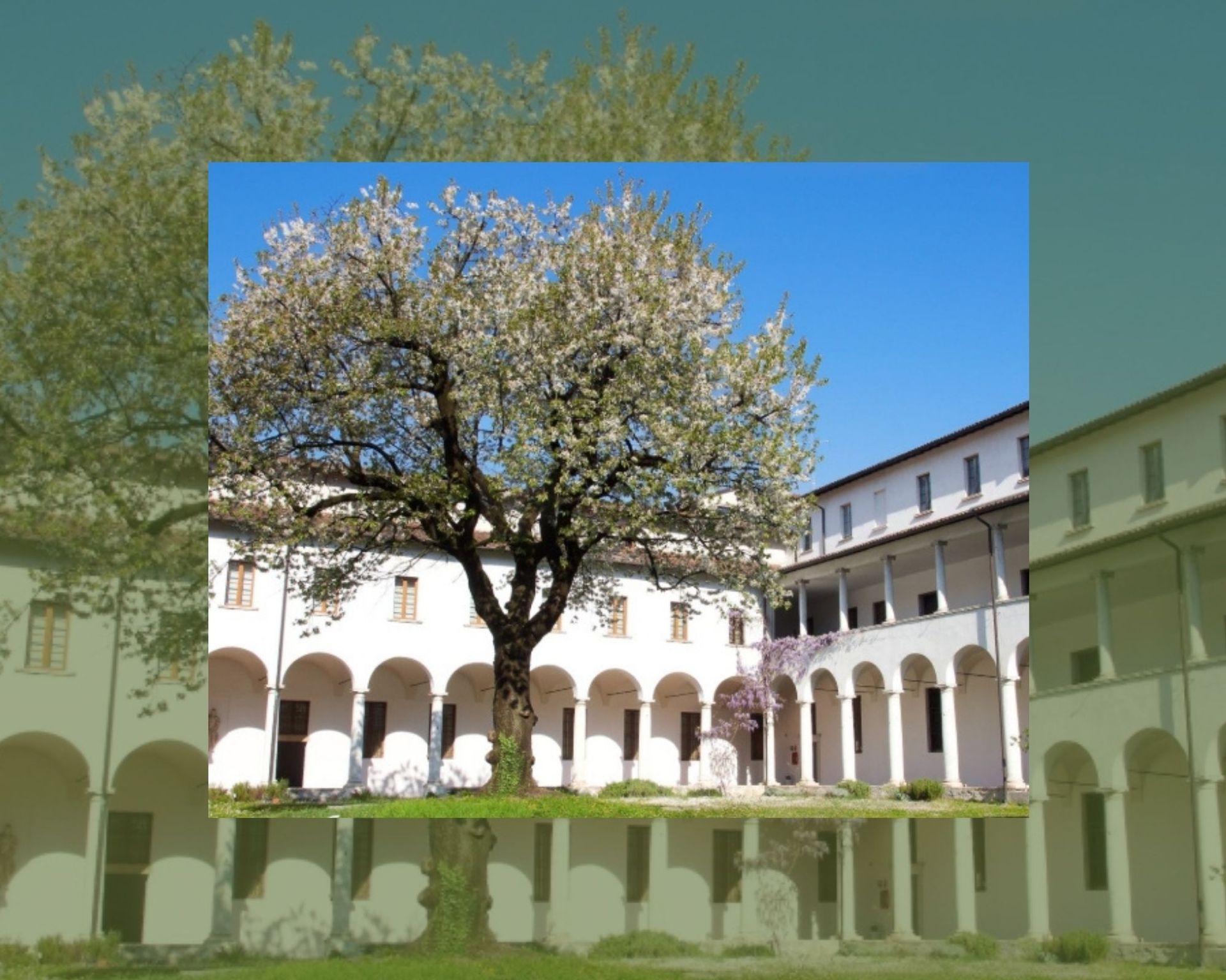 Secoli-di-Ciliegie