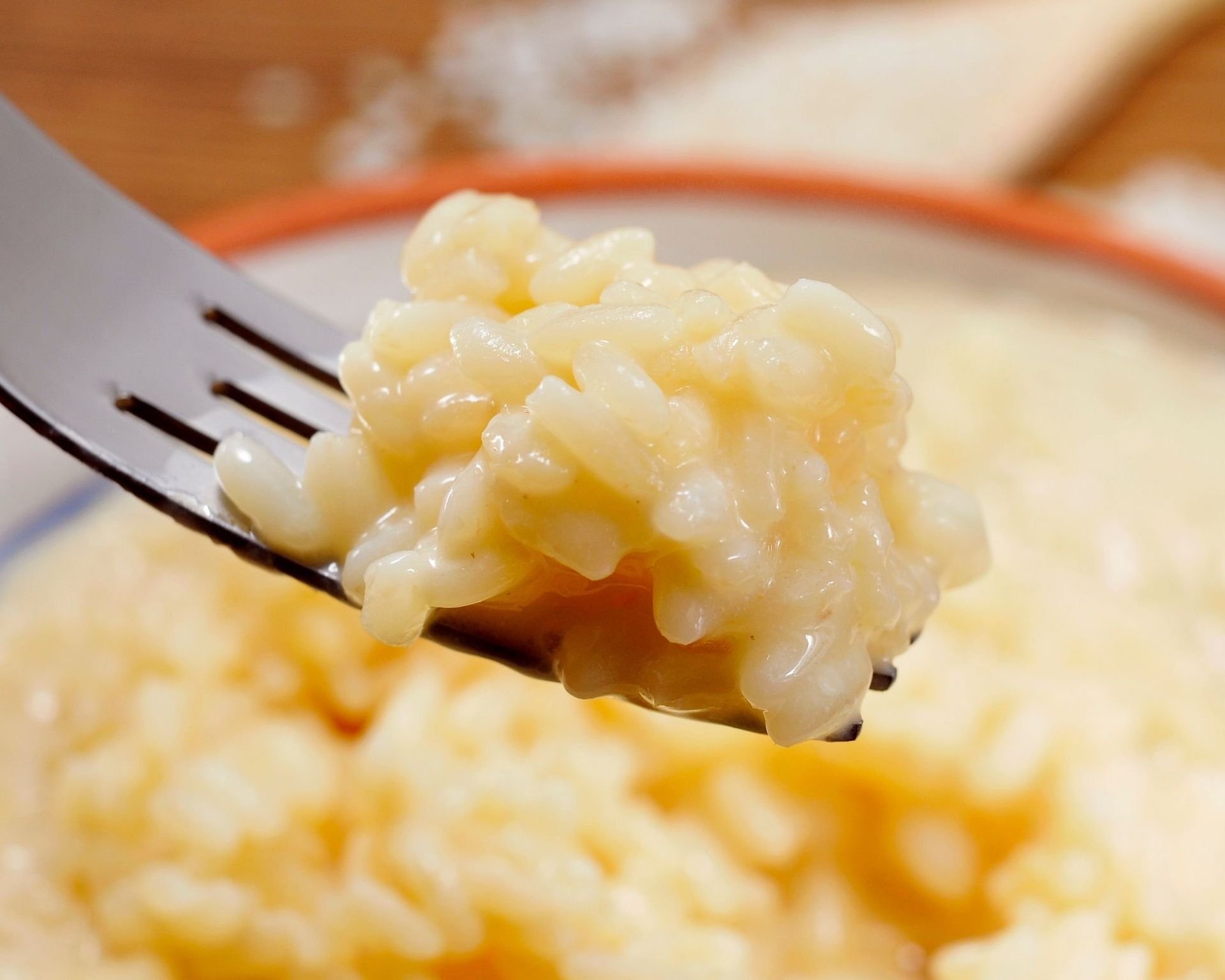 risottoconformagellavaltrompia