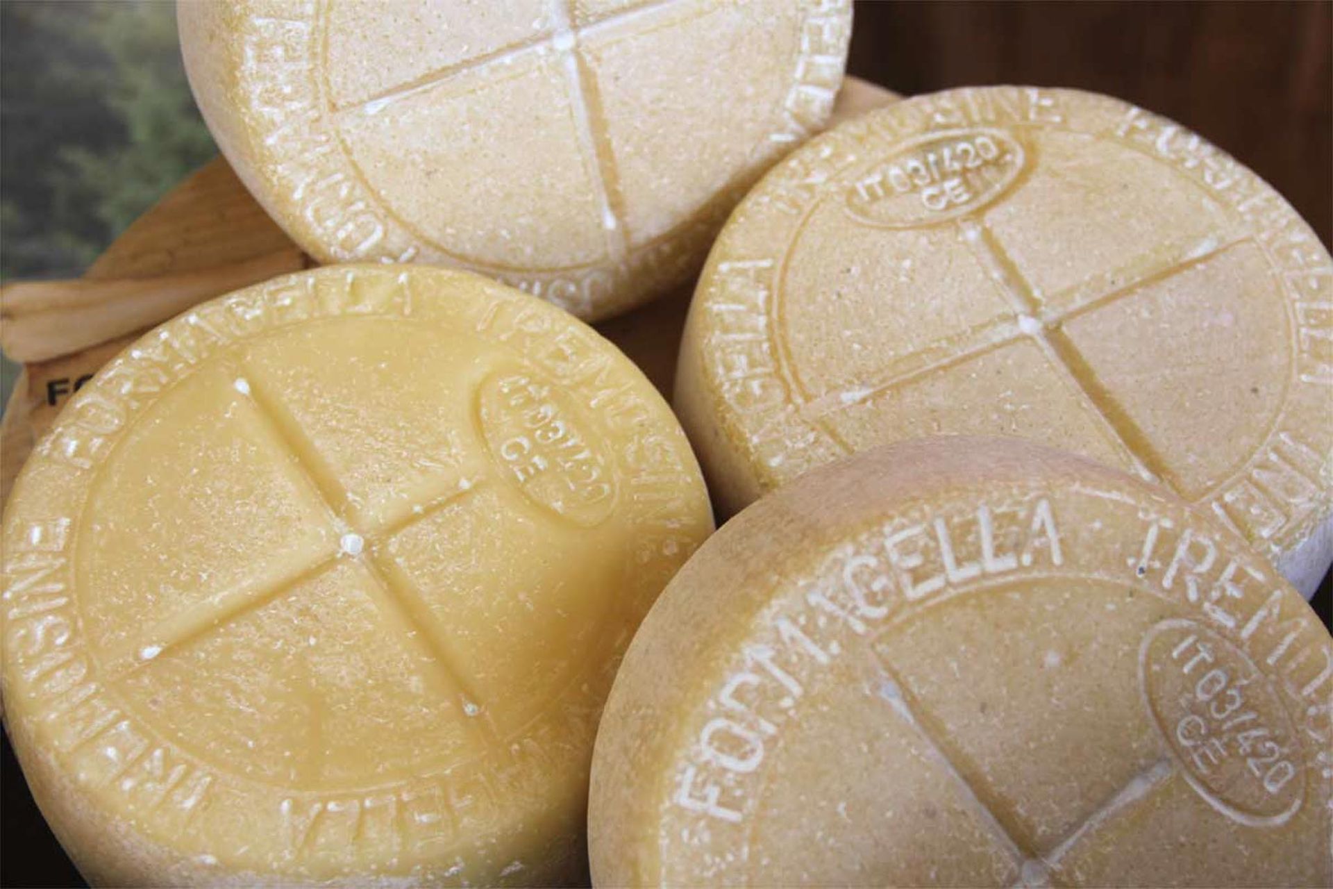 4 formaggelle di tremosine, con la tipica scritta