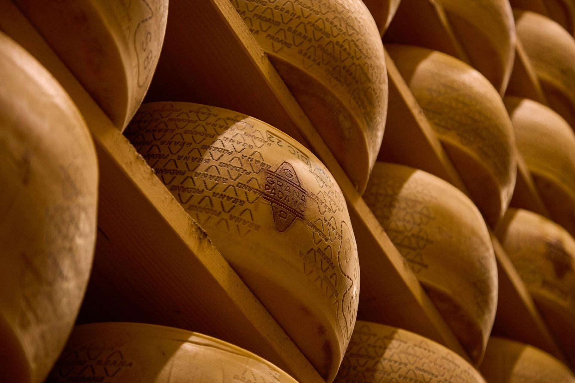Forme di grana padano conservate nelle tipiche scaffalature