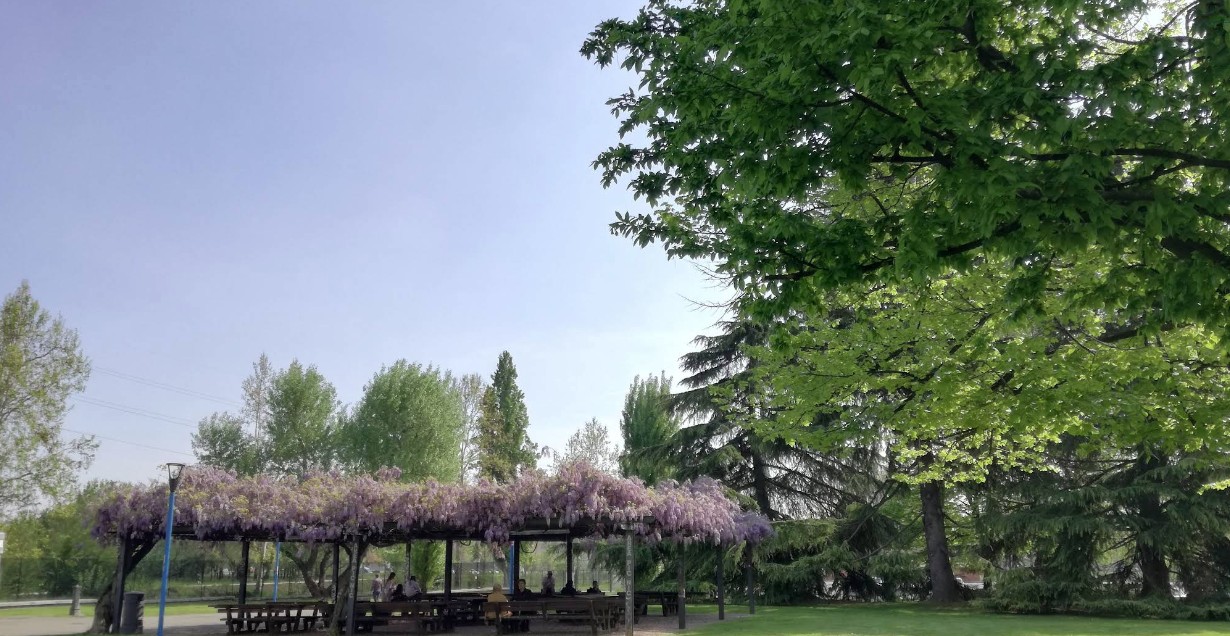 Parco delle Stagioni