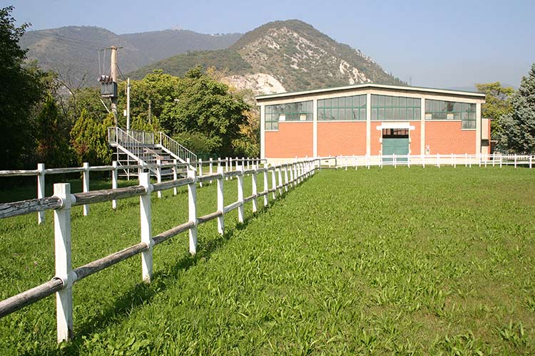 Campo per equitazione