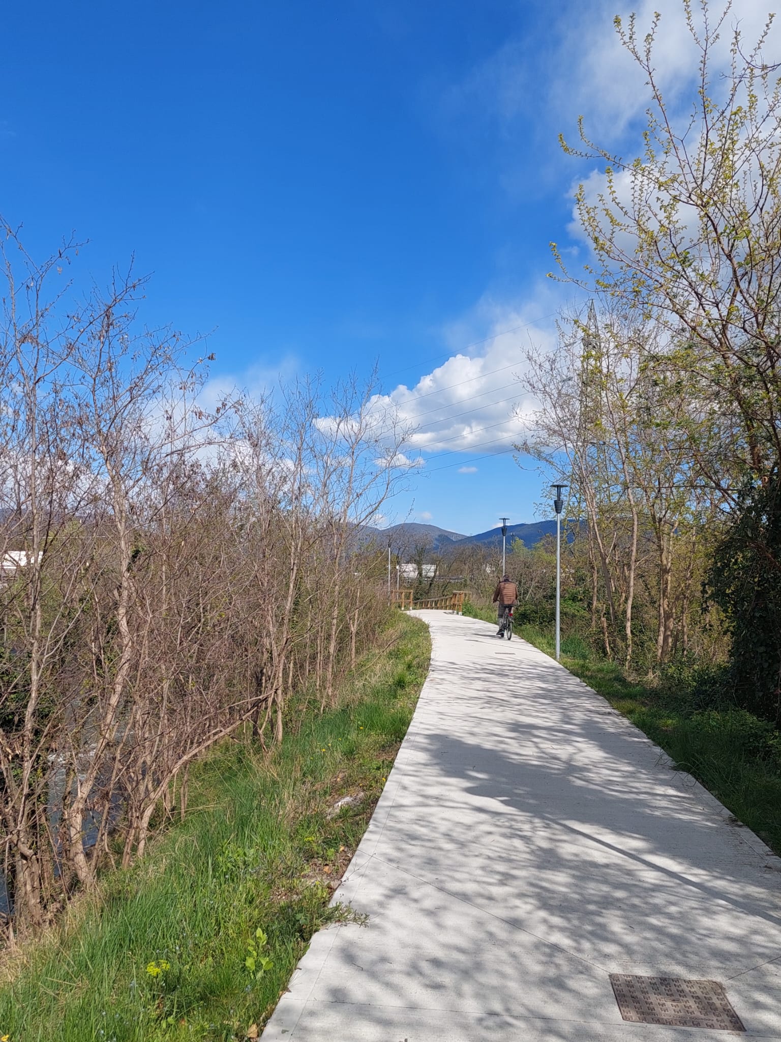 Pista ciclabile nel verde