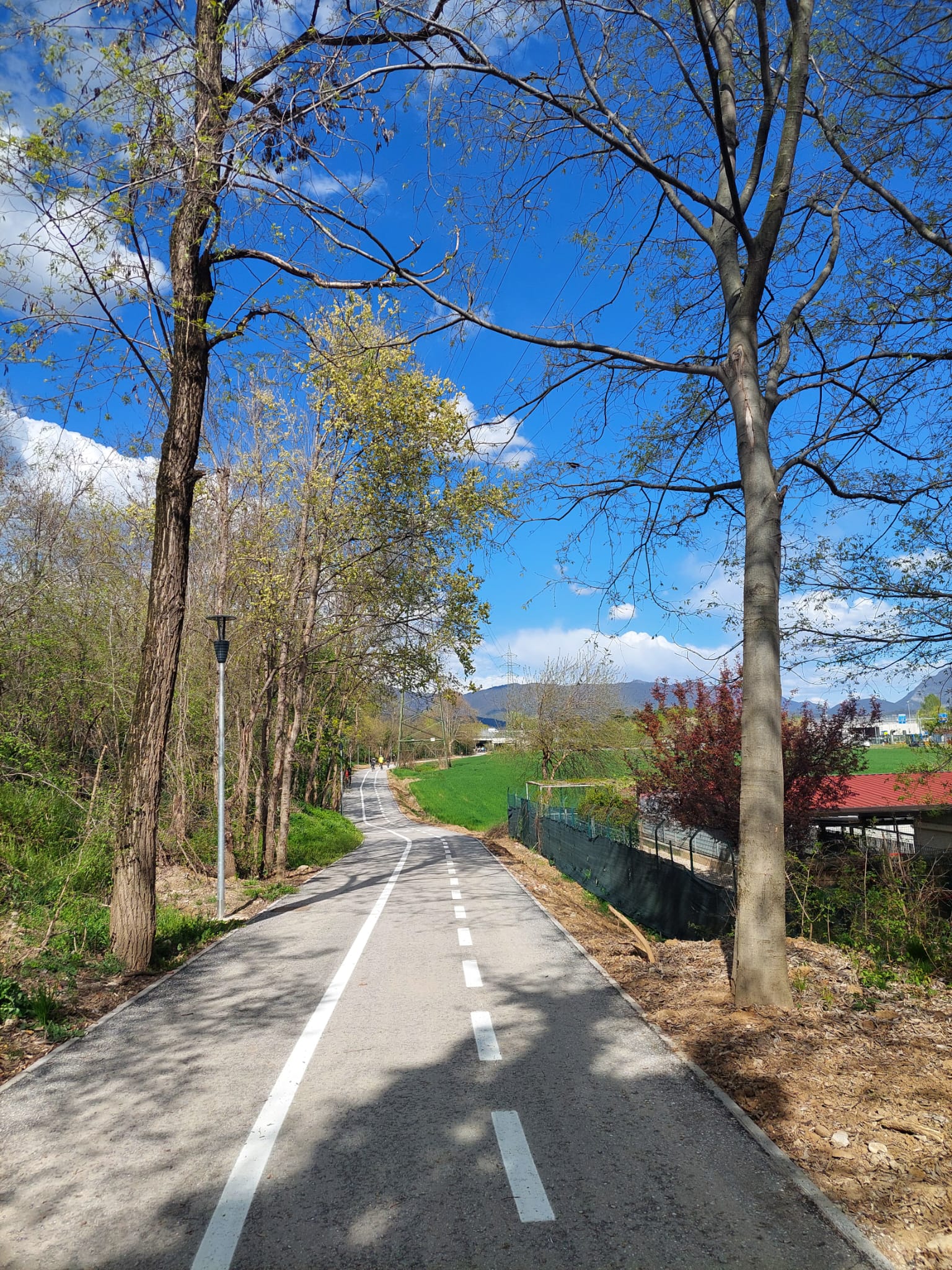 Pista ciclabile nel verde