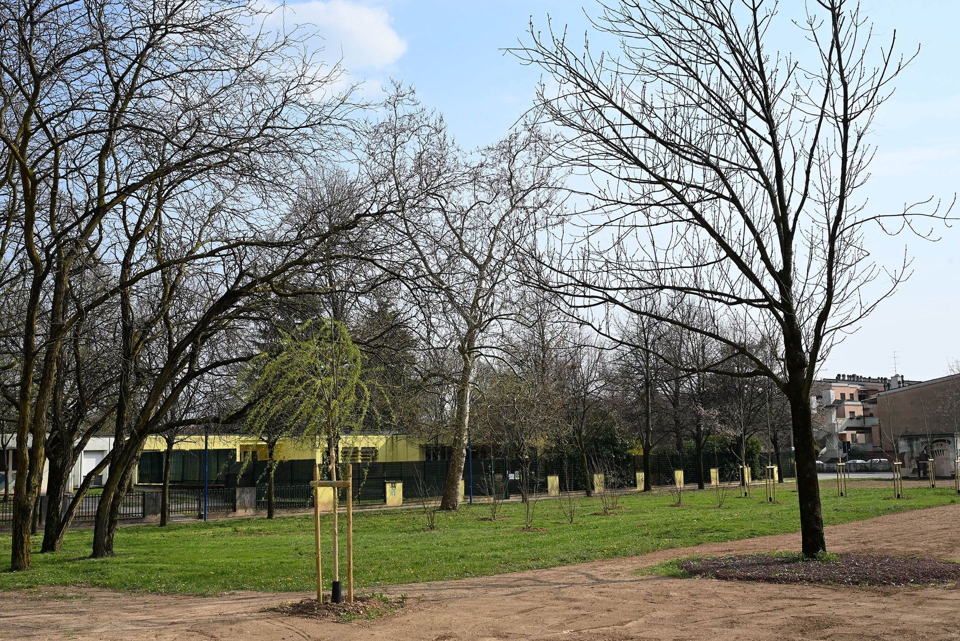 Parco della resistenza, foto area verde con alberi