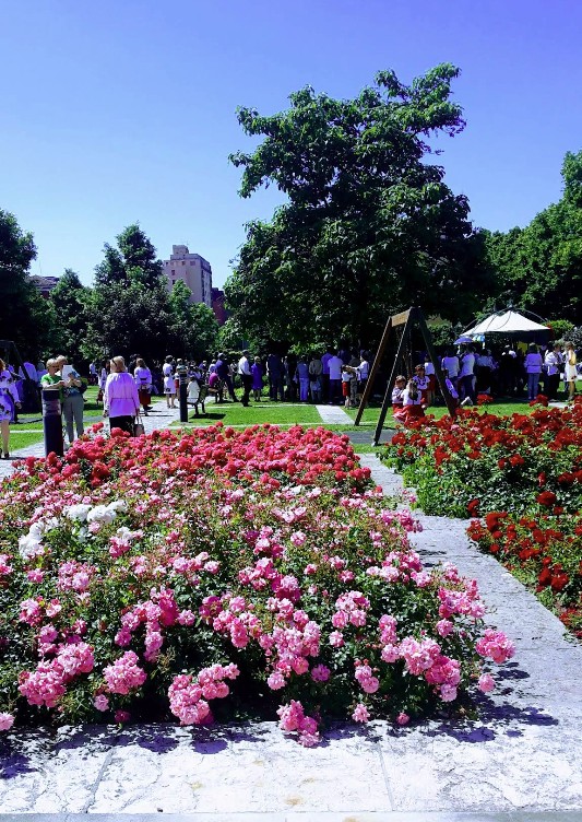 Parco delle torri gemelle