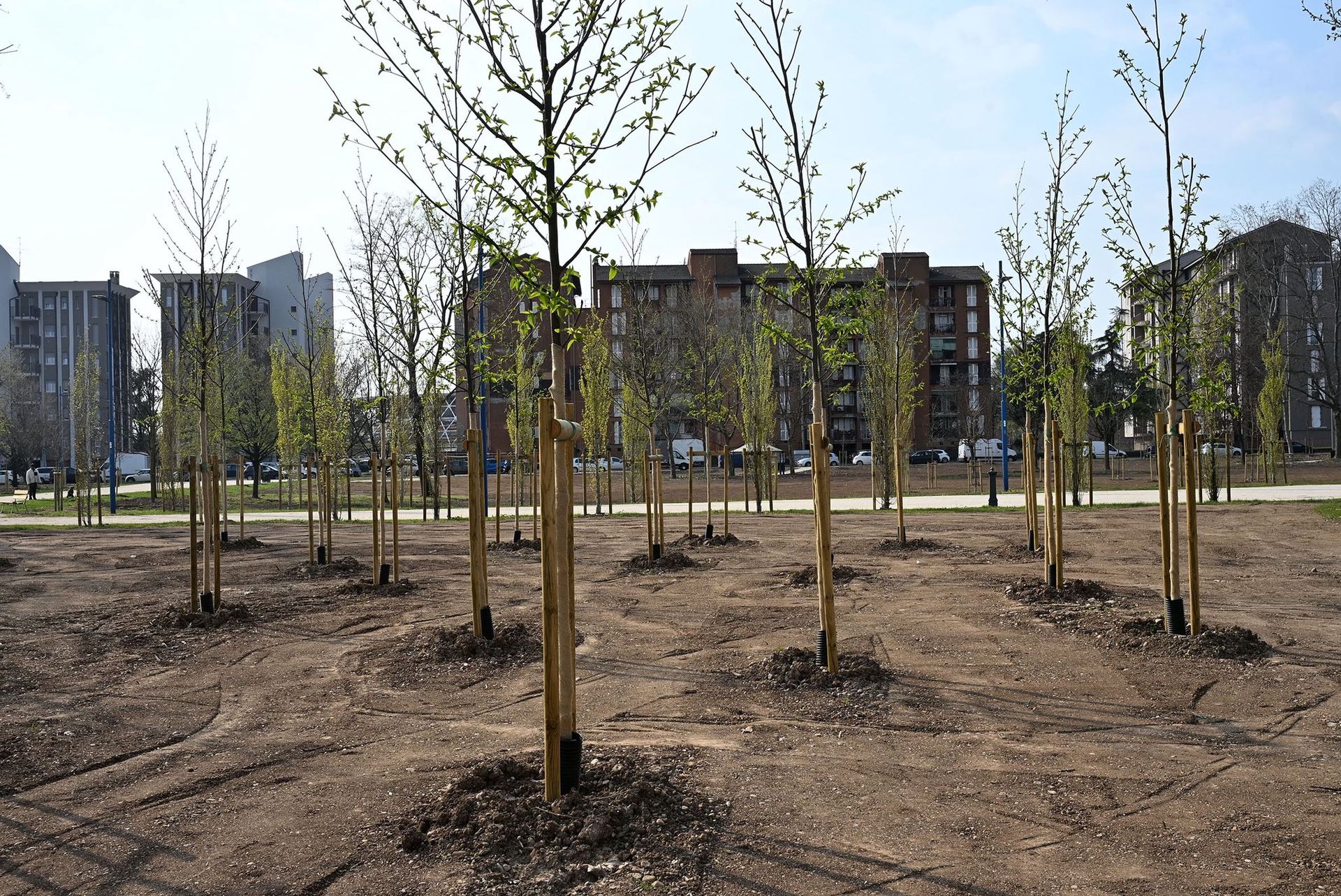 Nuovi alberi piantati al Parco della Resistenza