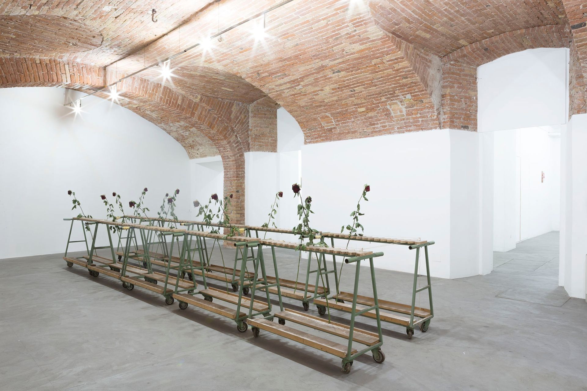 Spazio Contemporanea