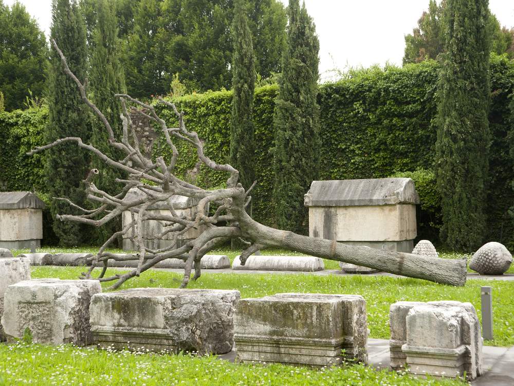 Scultura - Albero sdradicato su prato verde - Untitled di Ariel Schlesinger