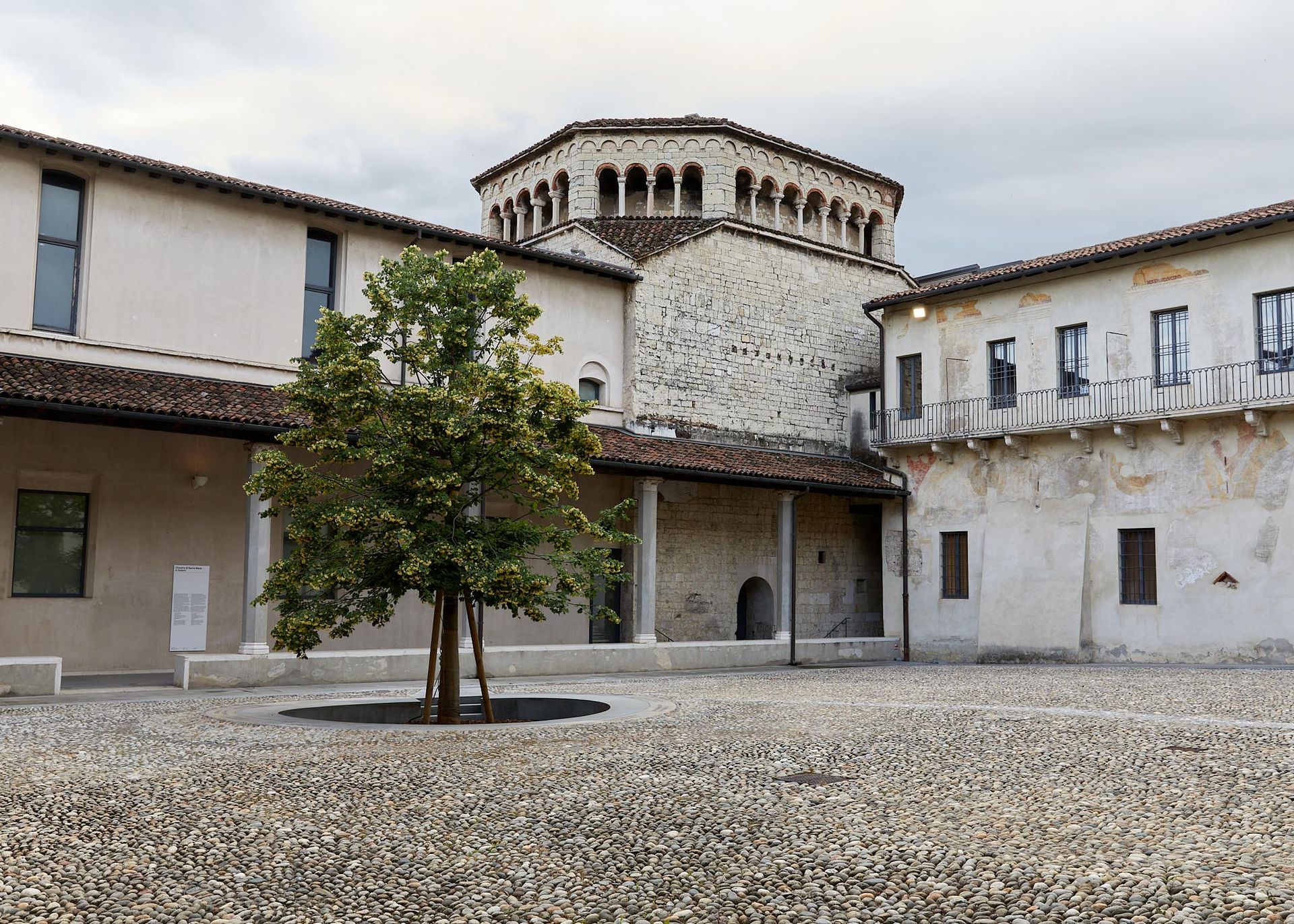 Chiostro dell'oratorio di Maria in Solario con al centro il tiglio