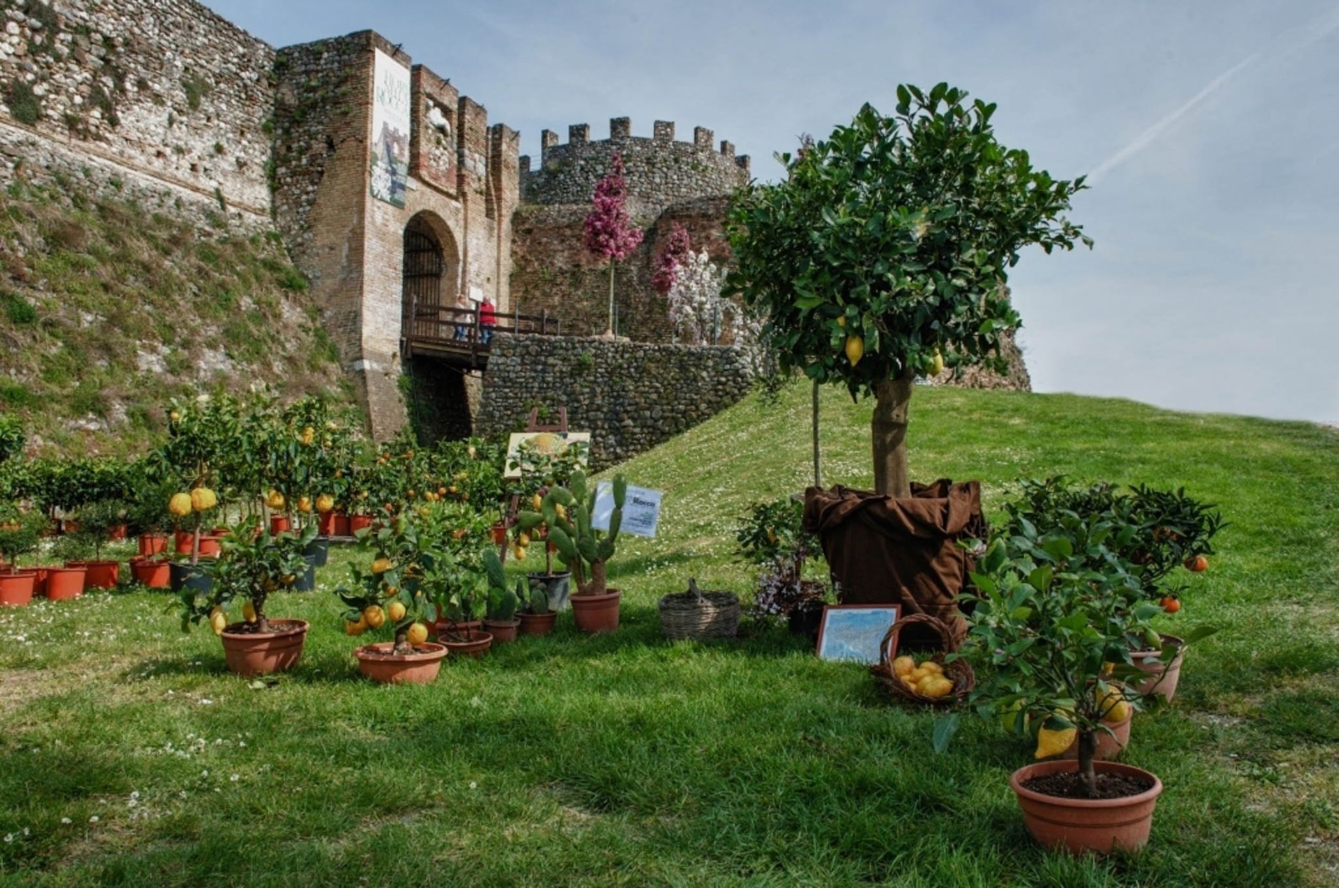 Fondazione Ugo Da Como - Castello
