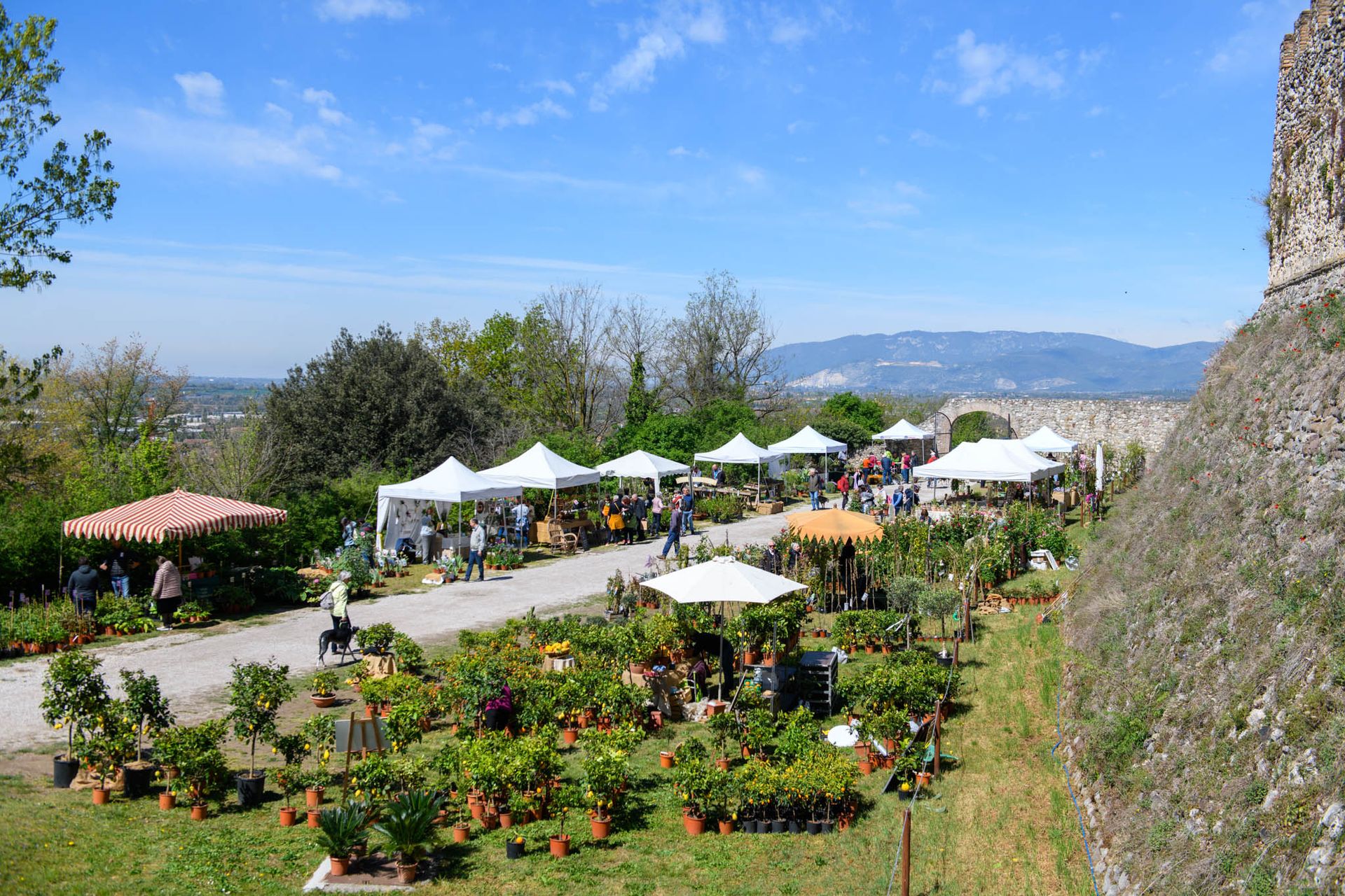 Fondazione Ugo Da Como - Esterno