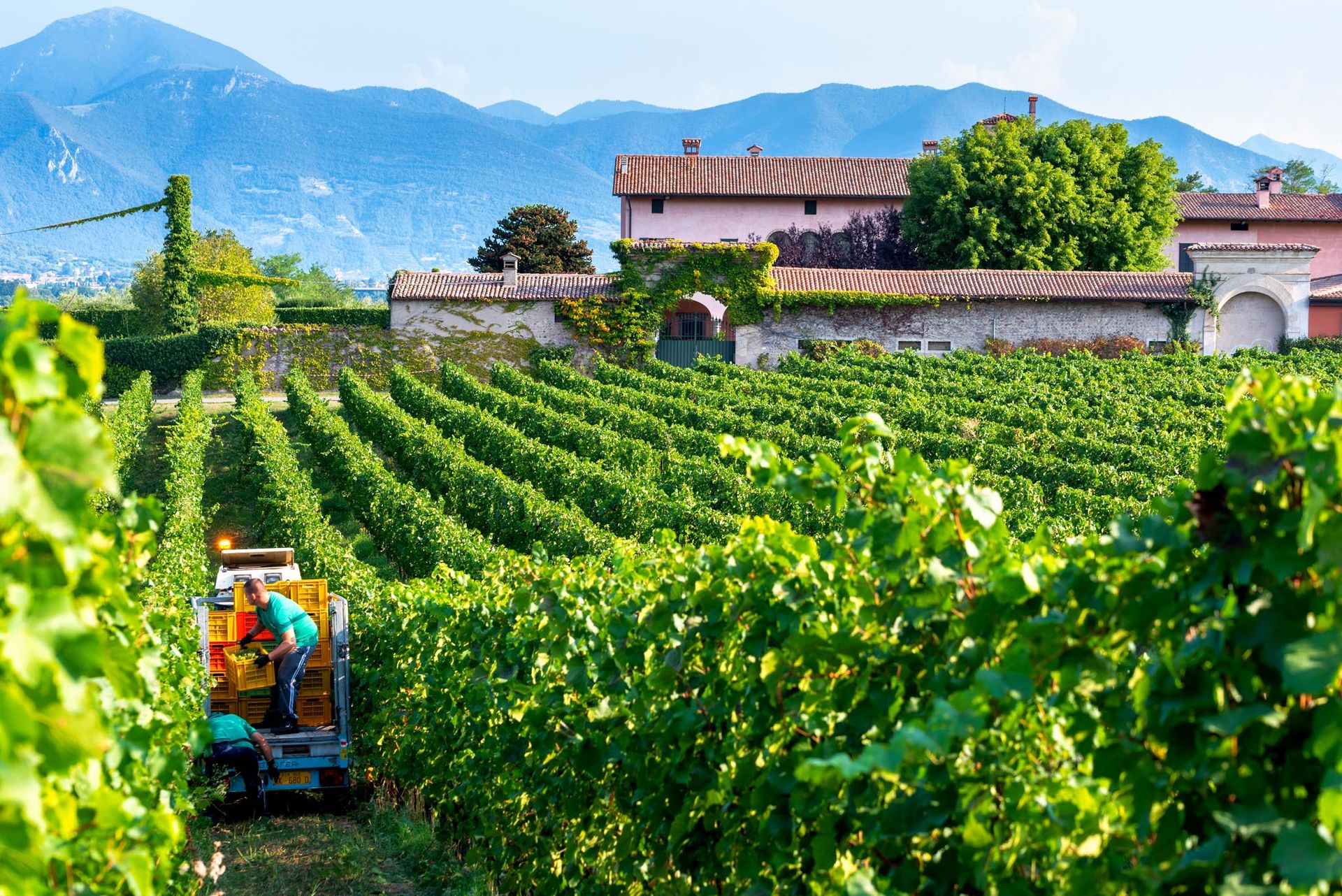 Vista del'azienda Ronco Calino della Franciacorta, dalle vigne