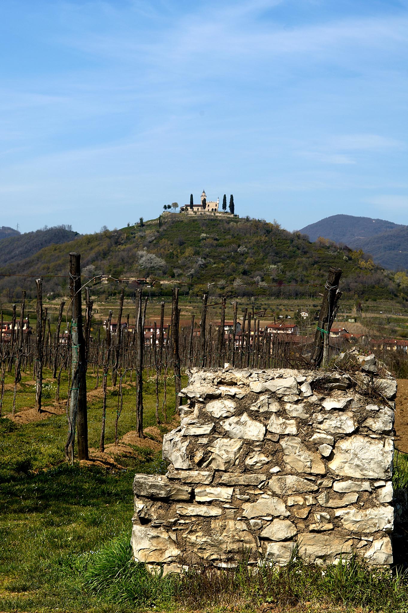 Vigne dell'hinterland di Brescia