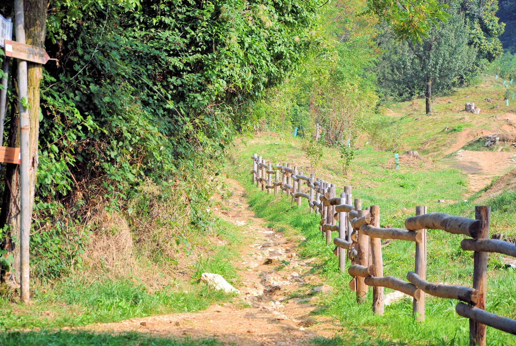 Vista di un sentiero della Maddalena