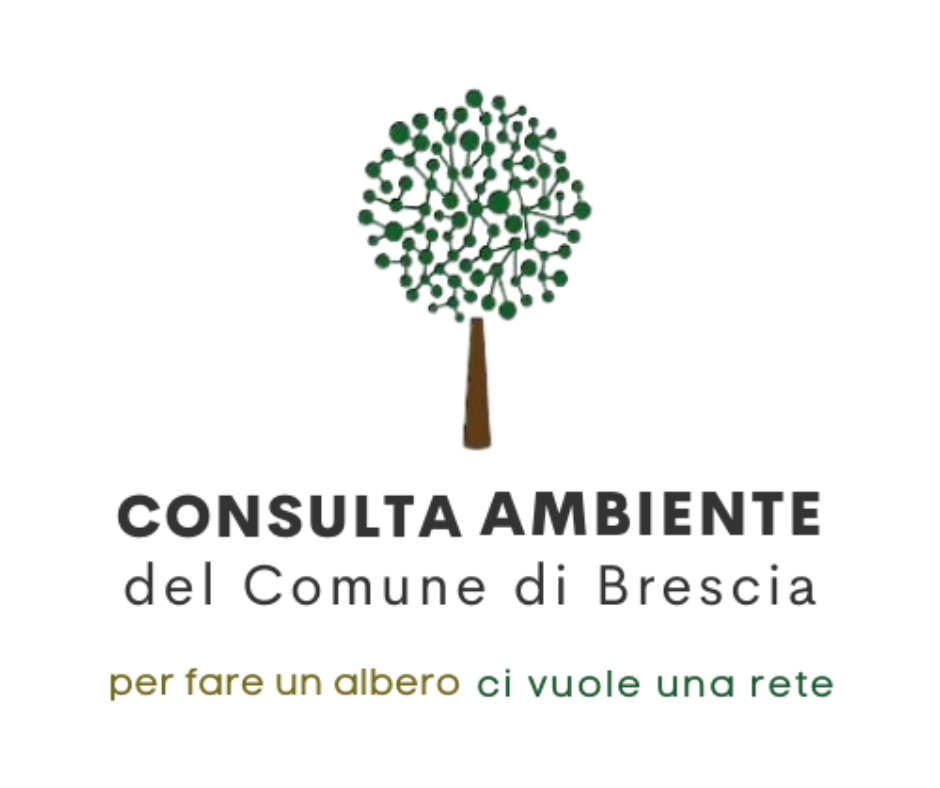 Consulta per l'ambiente Comune di Brescia