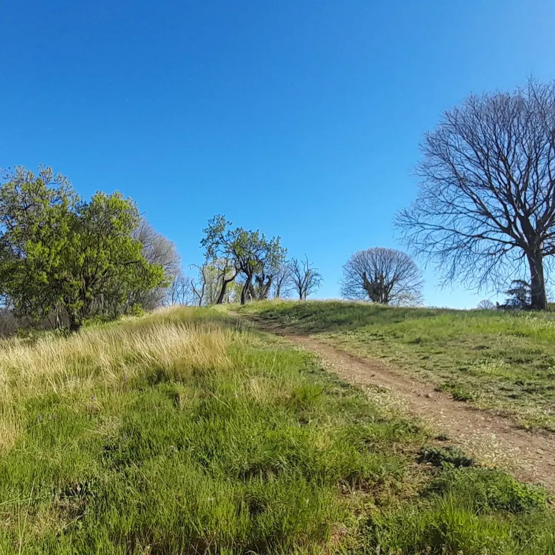 scopri-brescia-la-franciacorta