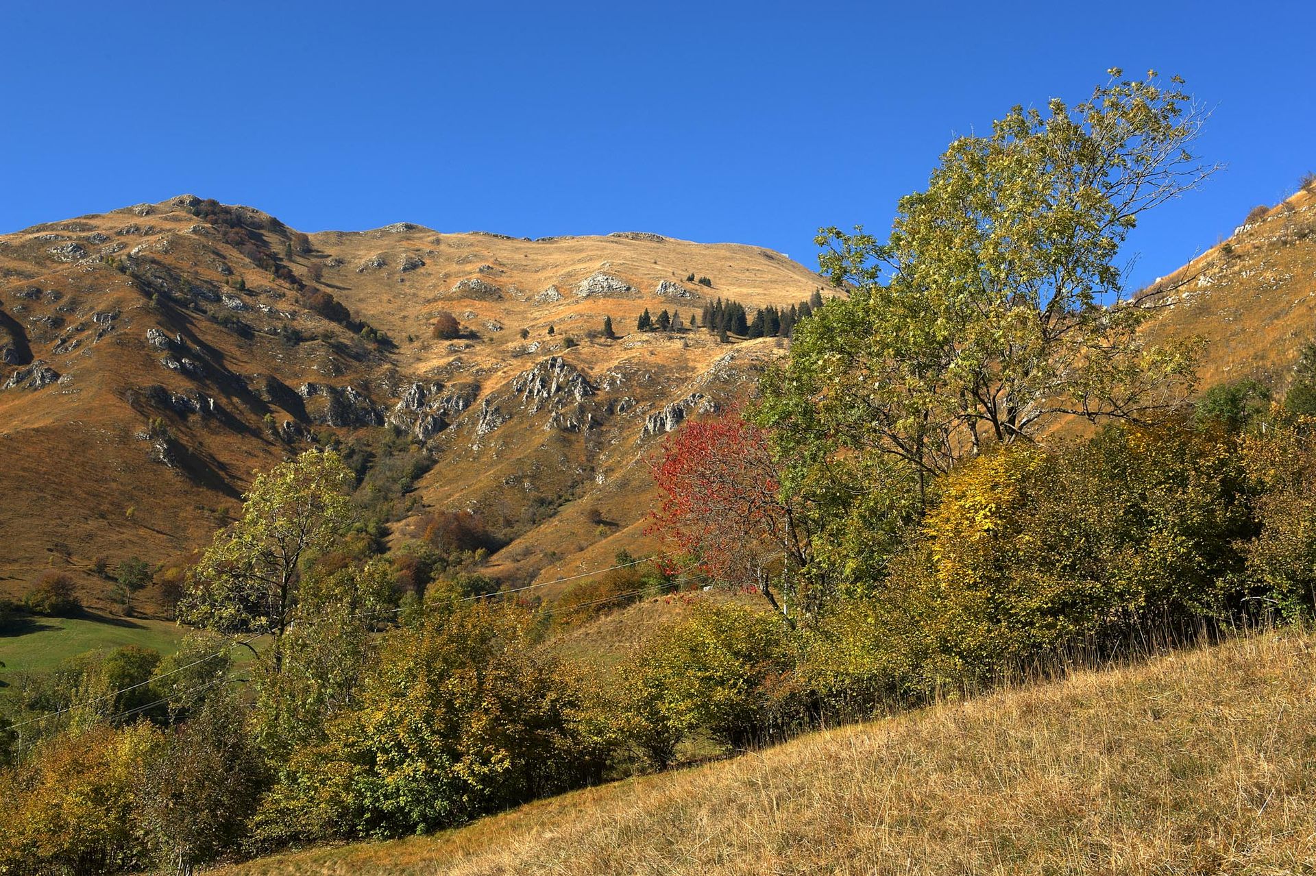 Veduta verde delle valli della Val Trompia tra le montagne bresciane