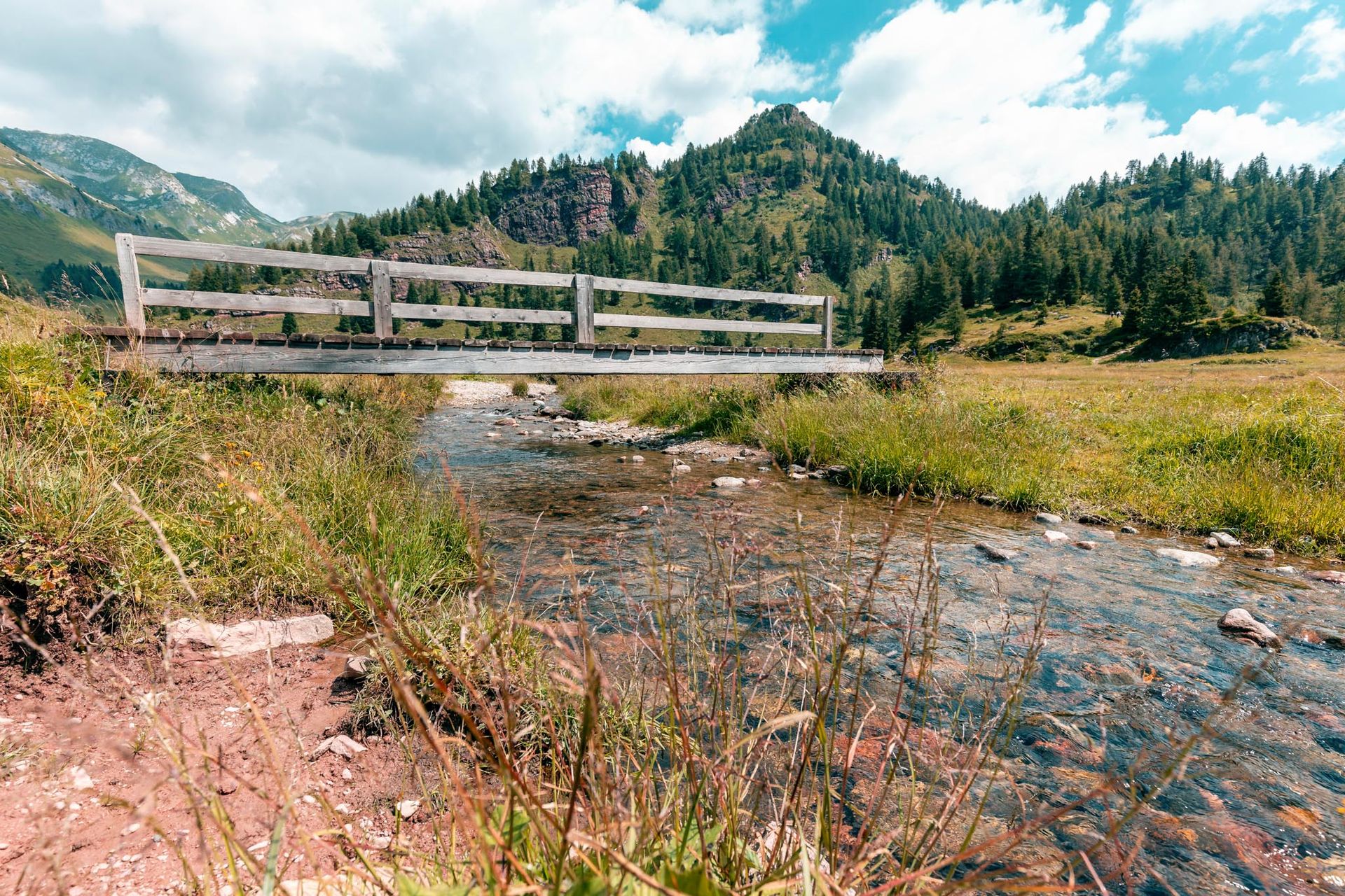 Ruscello tra i boschi della Val Sabbia, nel cuore della natura lombarda