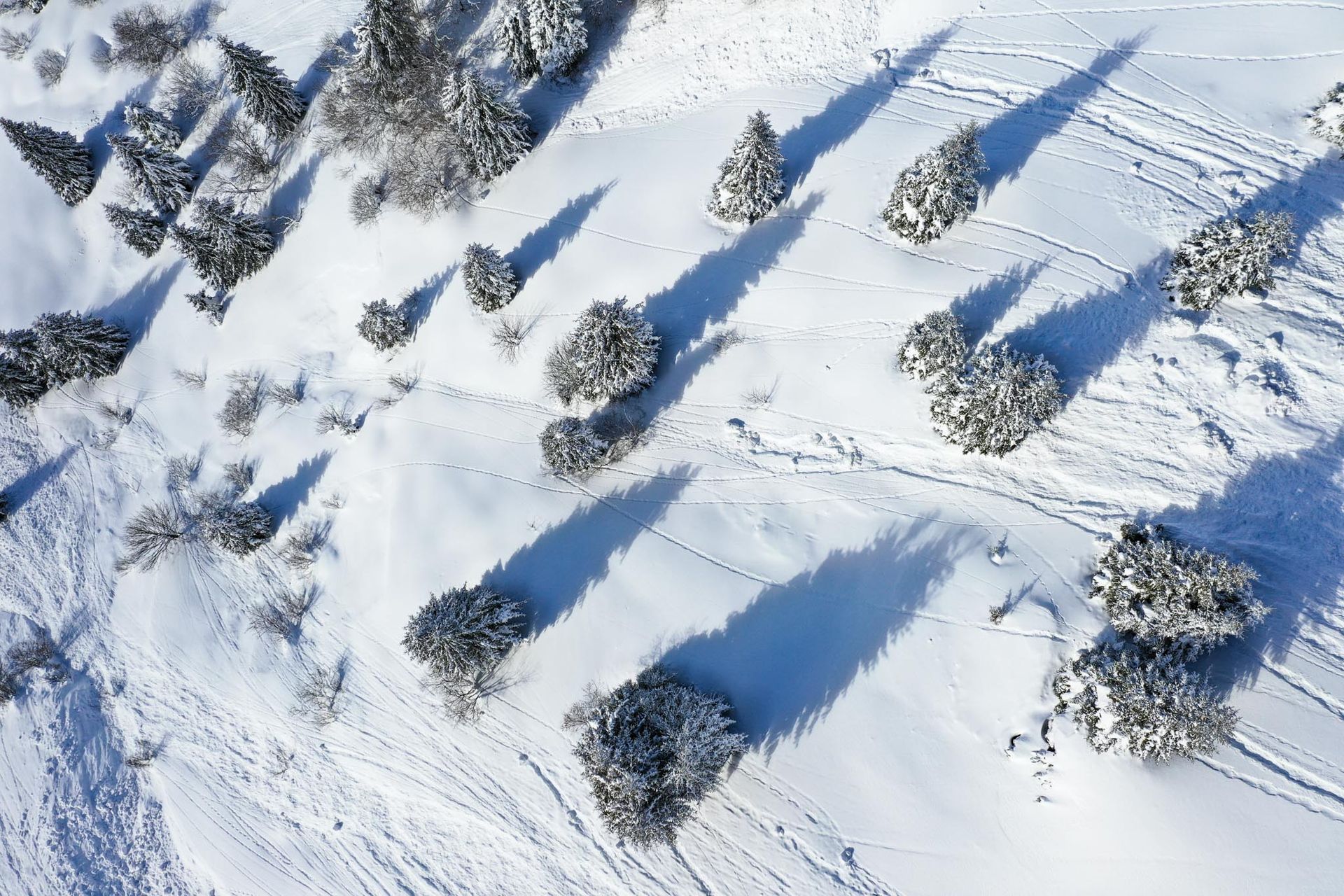Panorama dall’alto della Val Trompia coperta di neve tra alberi e montagne