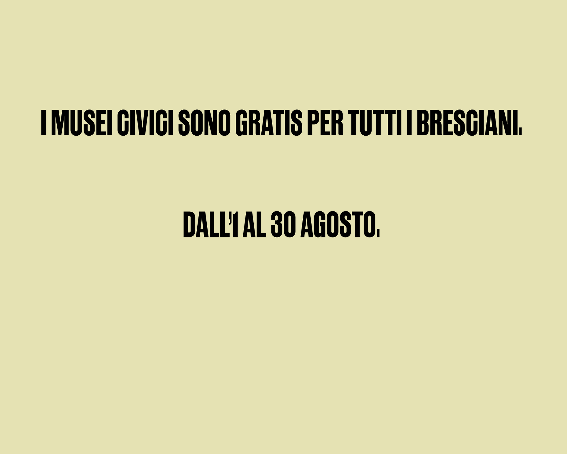 Museicivici