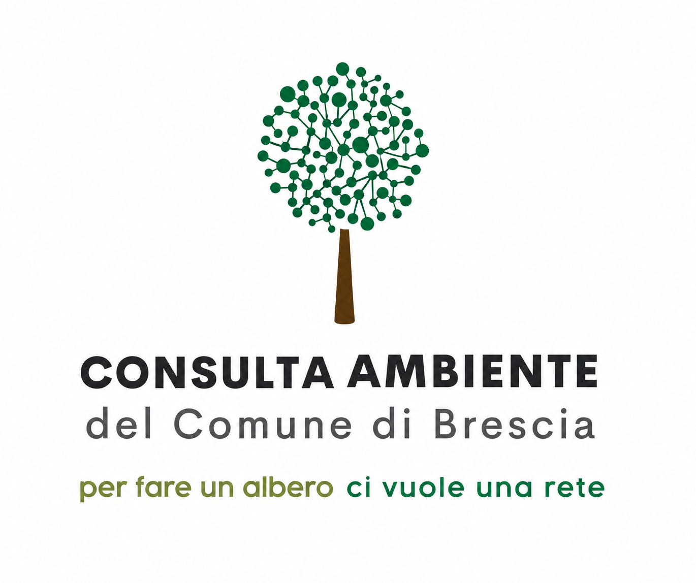 consulta ambiente comune di brescia