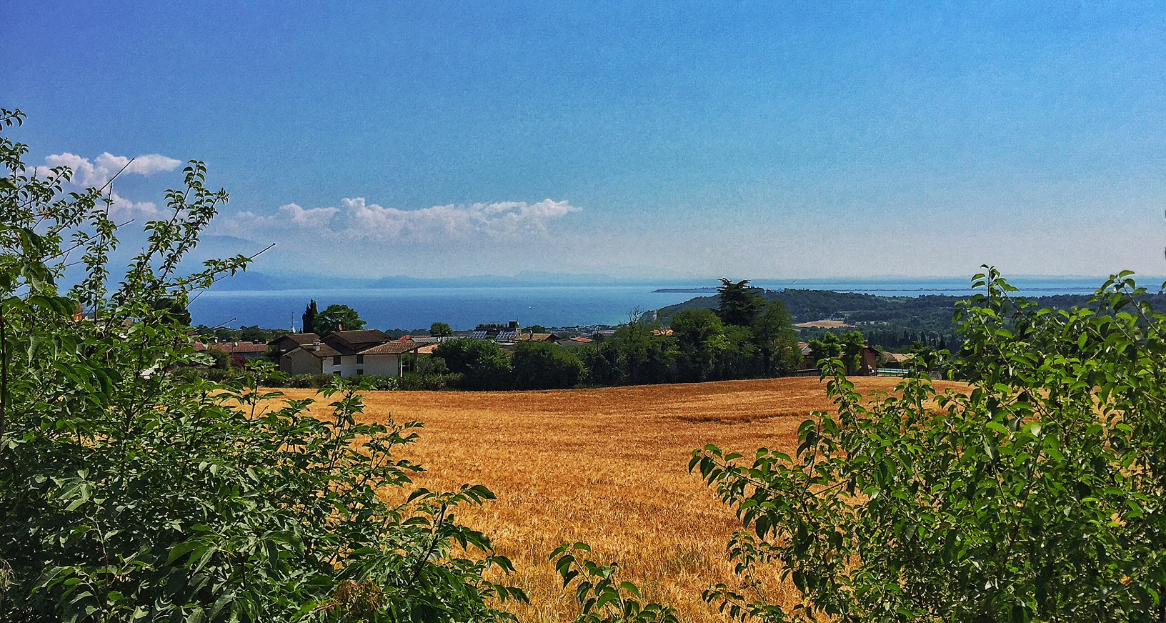 Ph: MicheleCremonesi