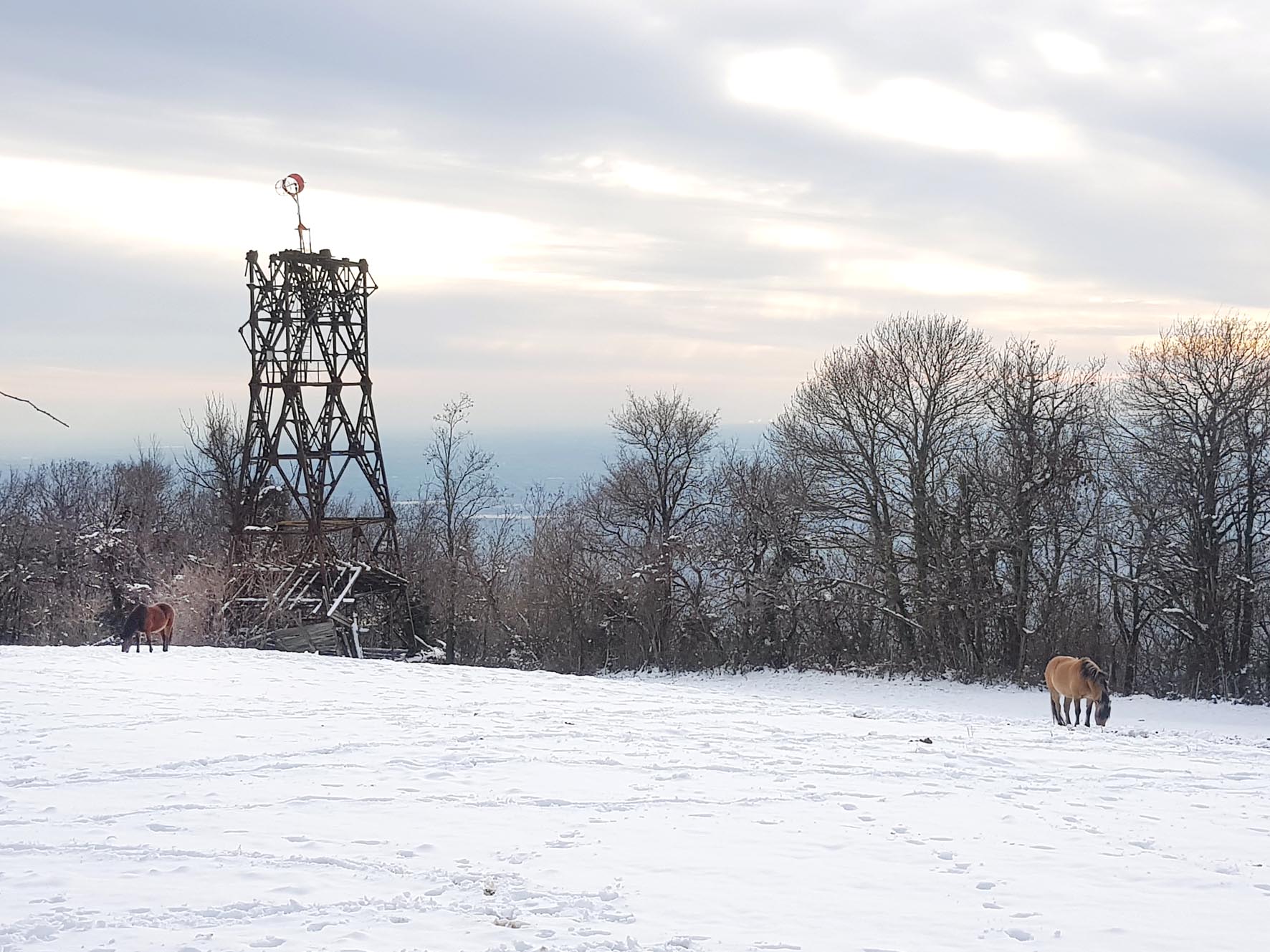Percorso 11 della Maddalena, innevato